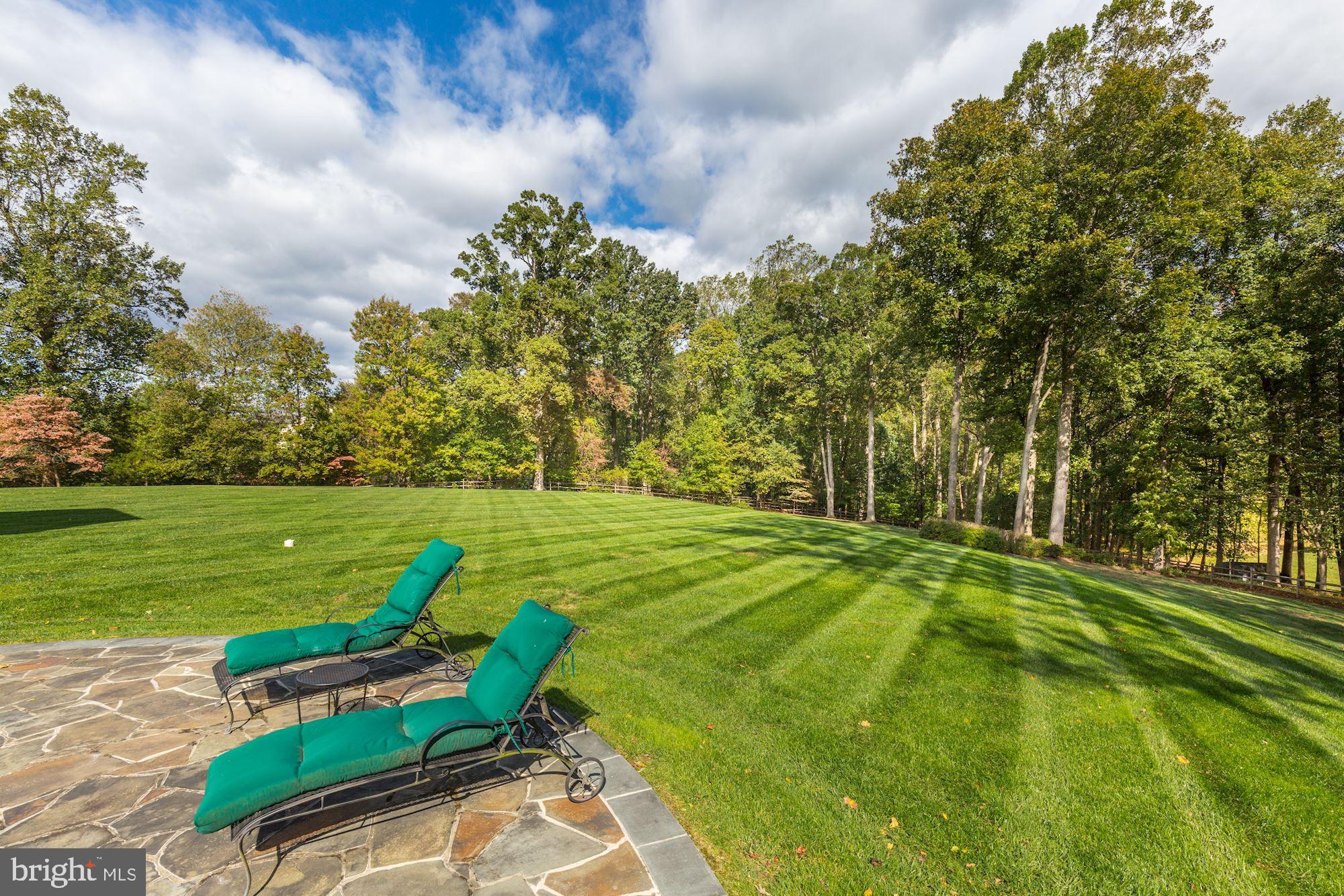 POTOMAC FALLS - Residential