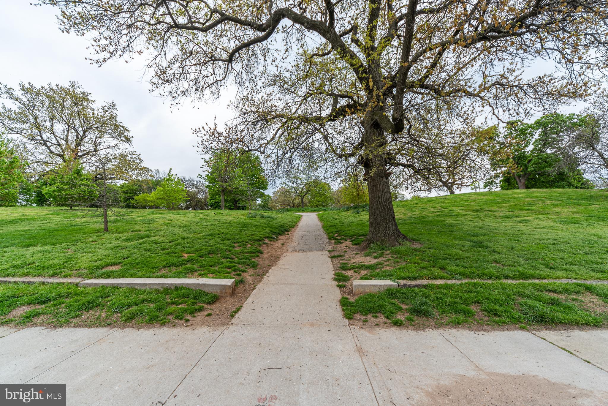 BUTCHERS HILL - Residential