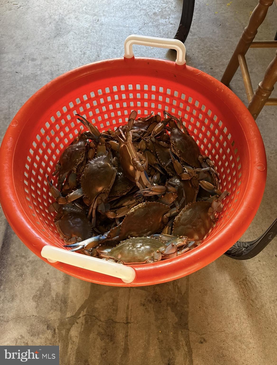 KENT COVE - Residential