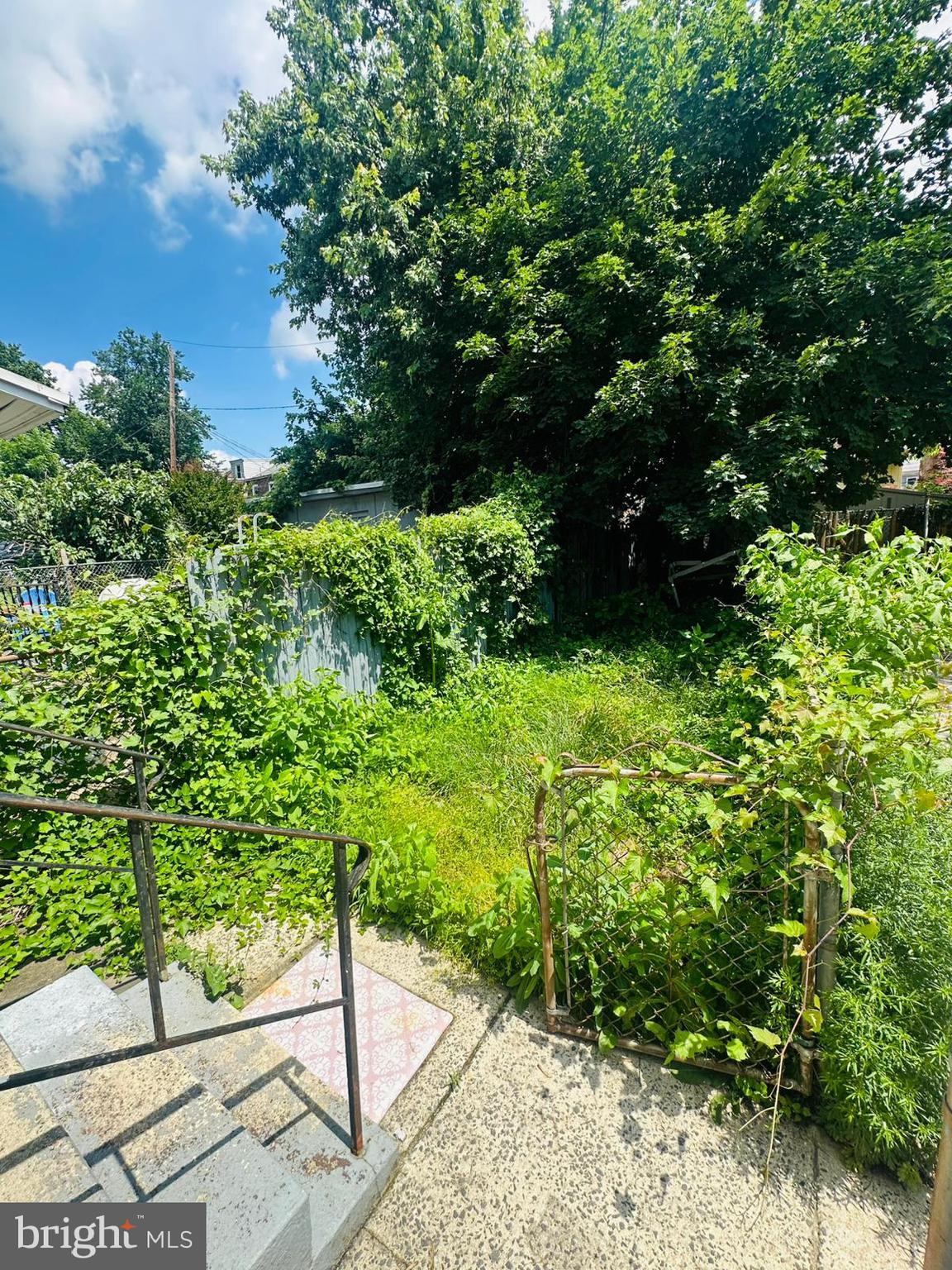 656 RUTHERFORD AVENUE