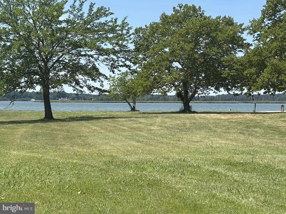 300 WOODS POINT ROAD