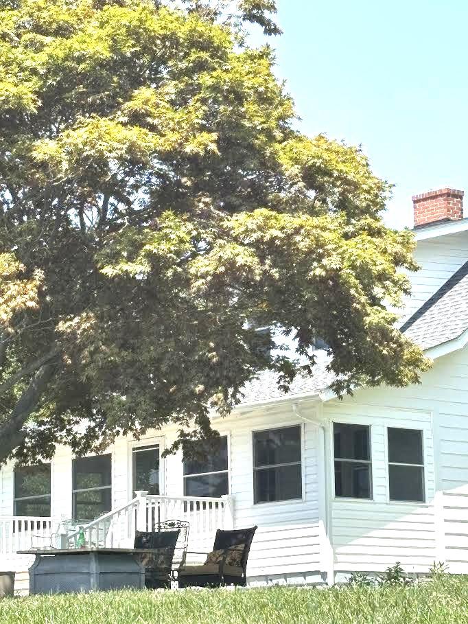 300 WOODS POINT ROAD