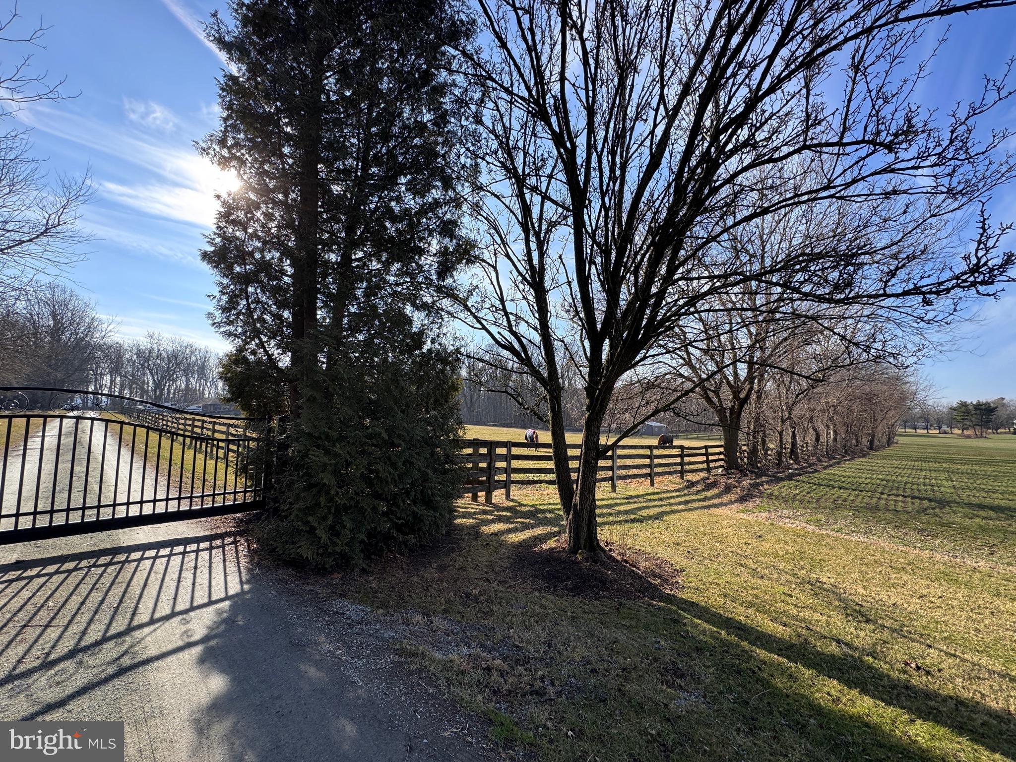 195 DALEVILLE ROAD