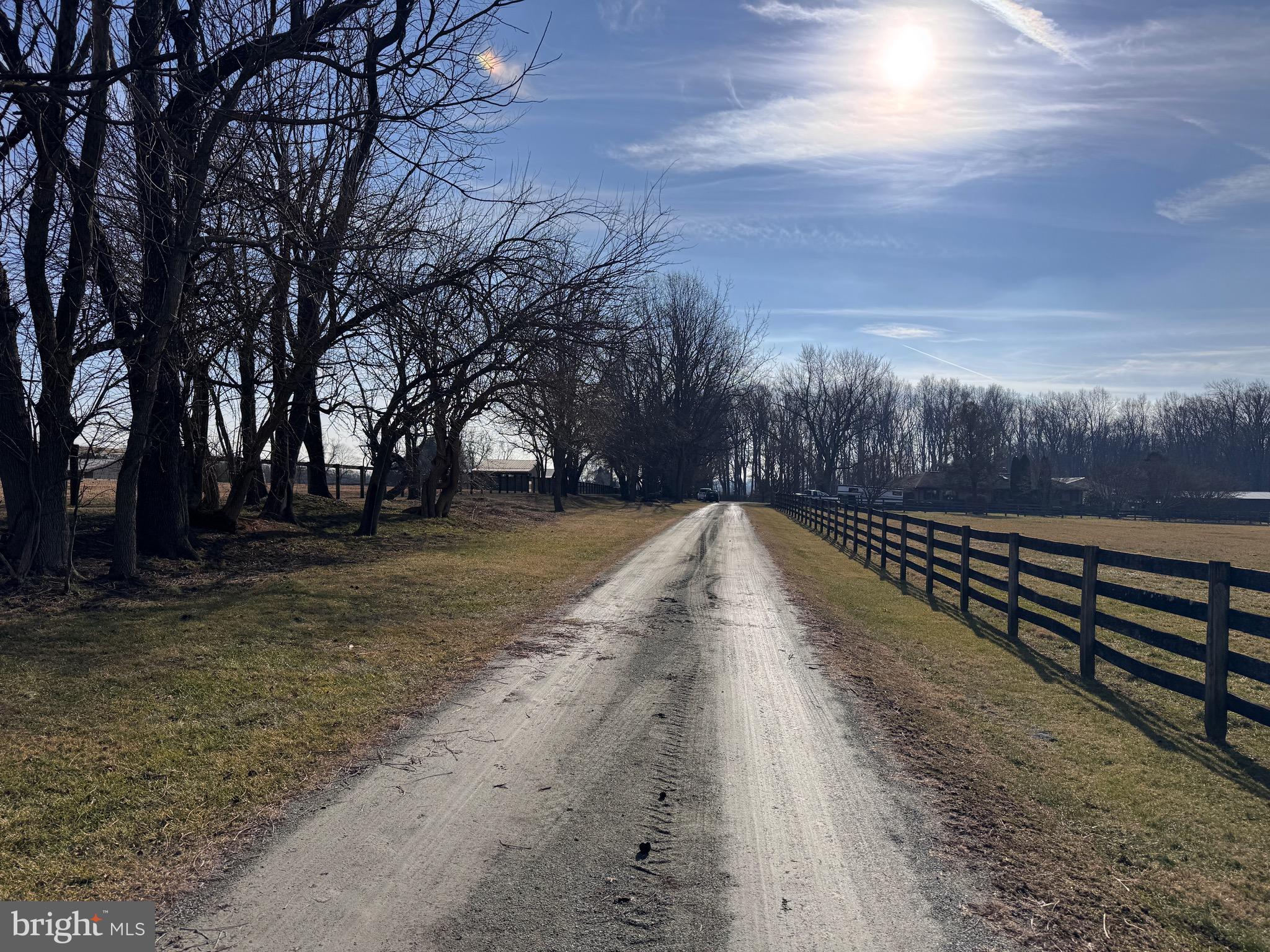 195 DALEVILLE ROAD