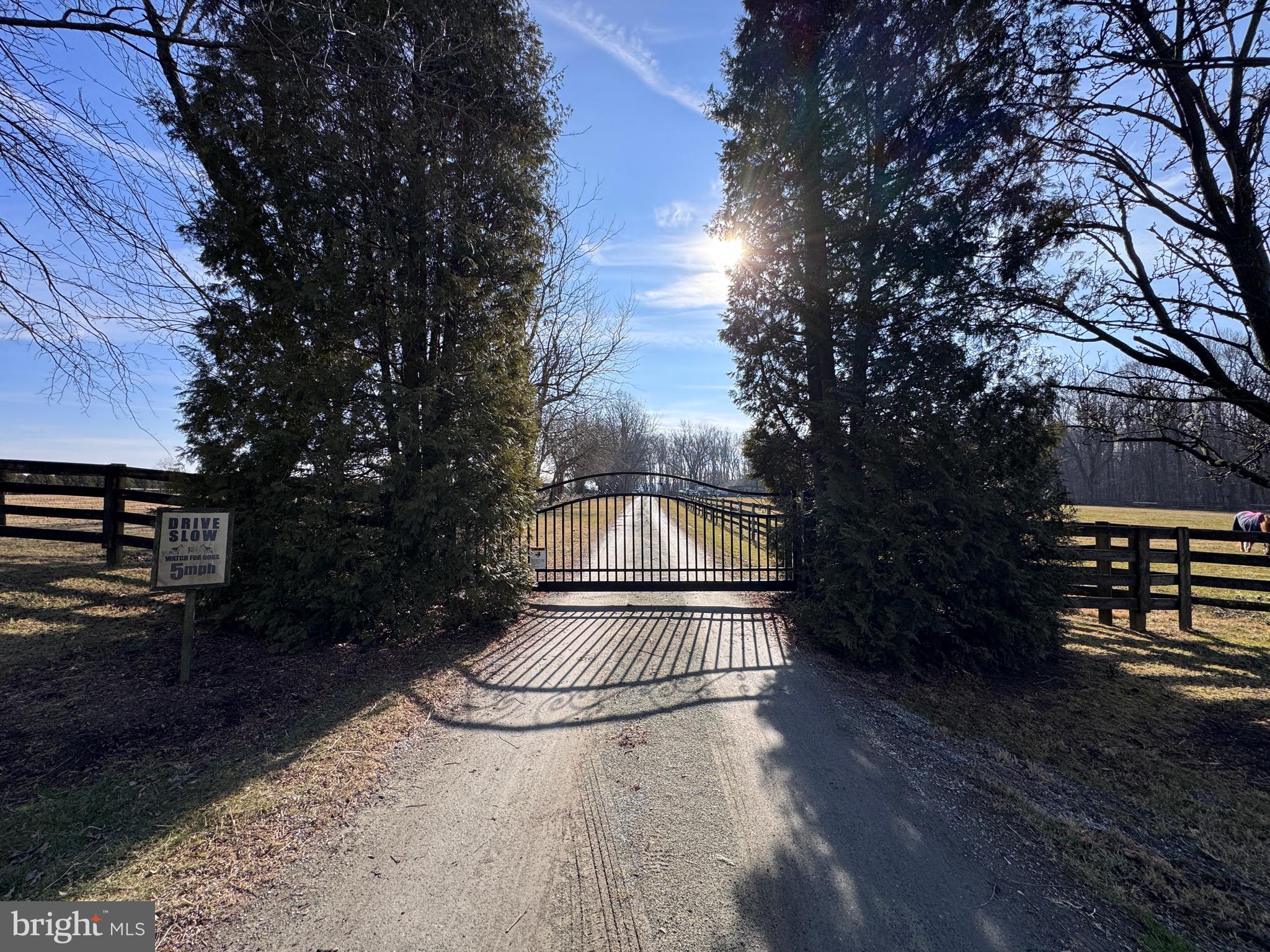 195 DALEVILLE ROAD