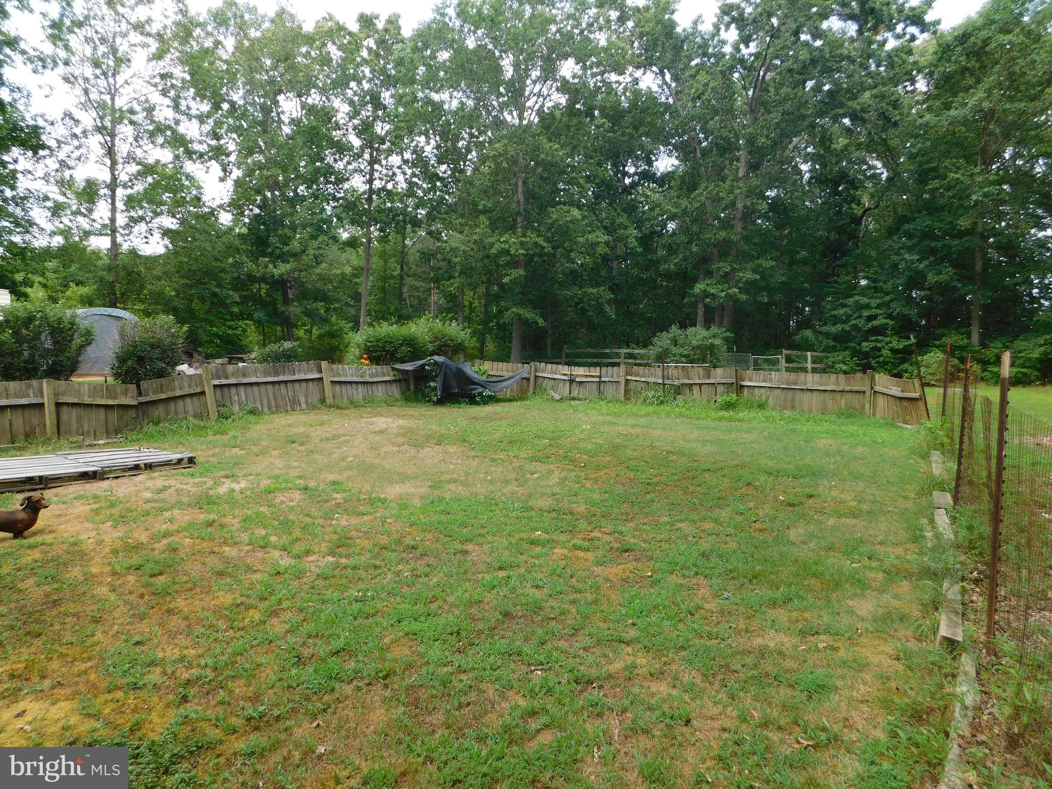 MUSTERFIELD - Residential