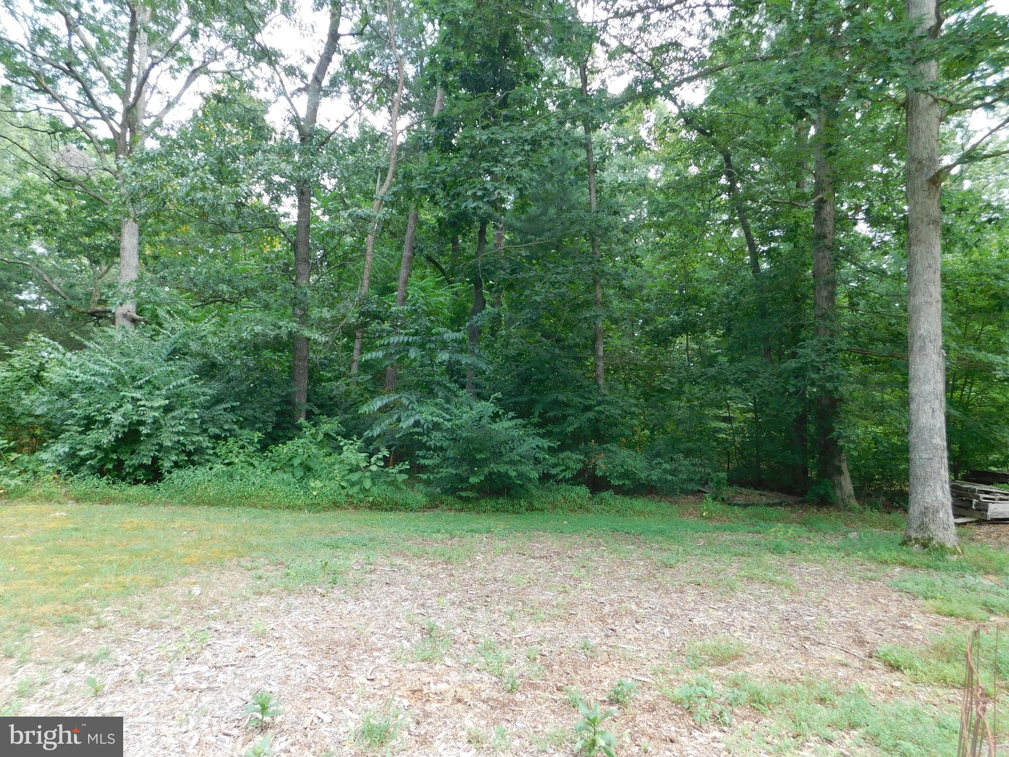 MUSTERFIELD - Residential