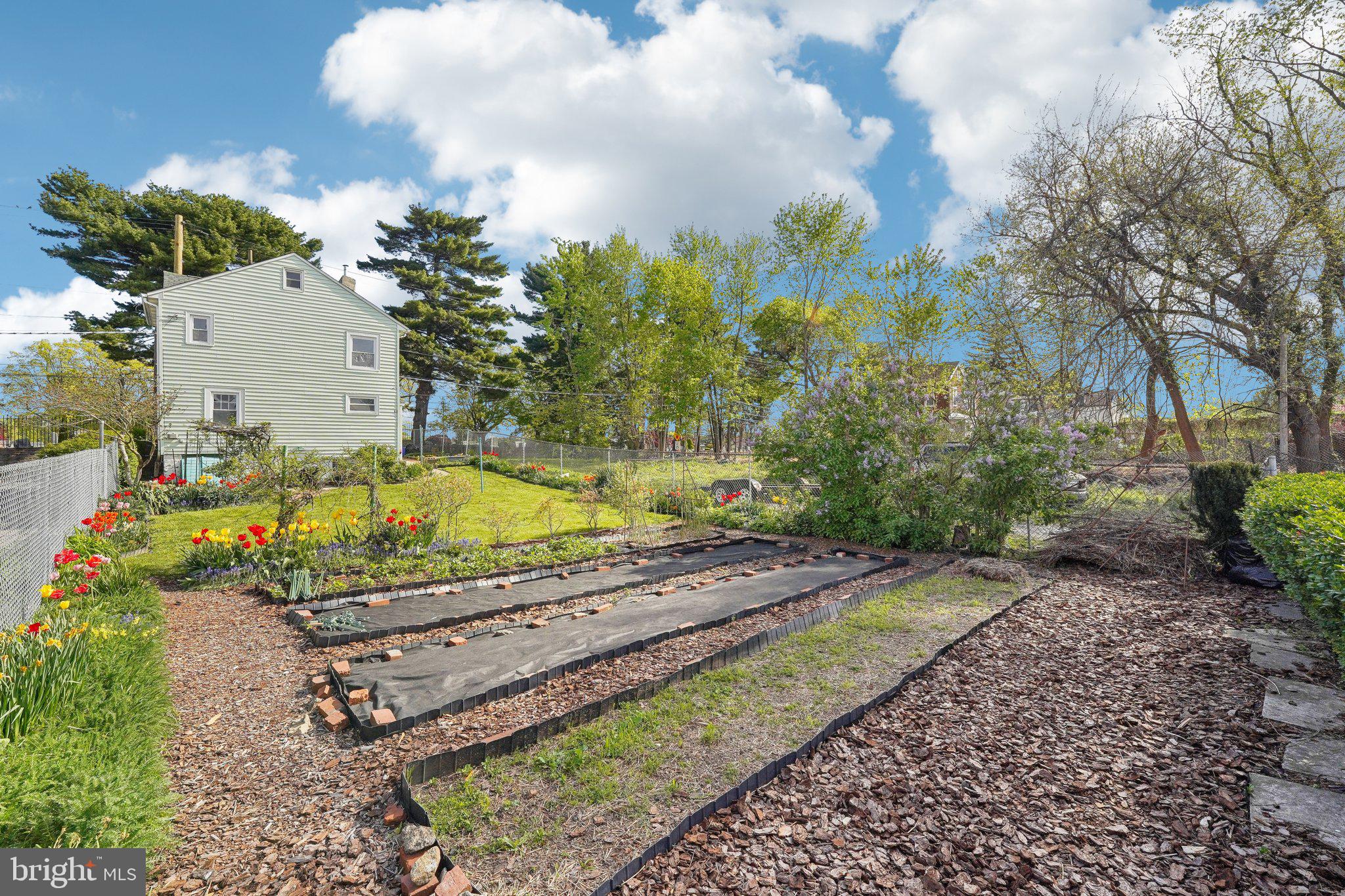 WEST OAK LANE - Residential