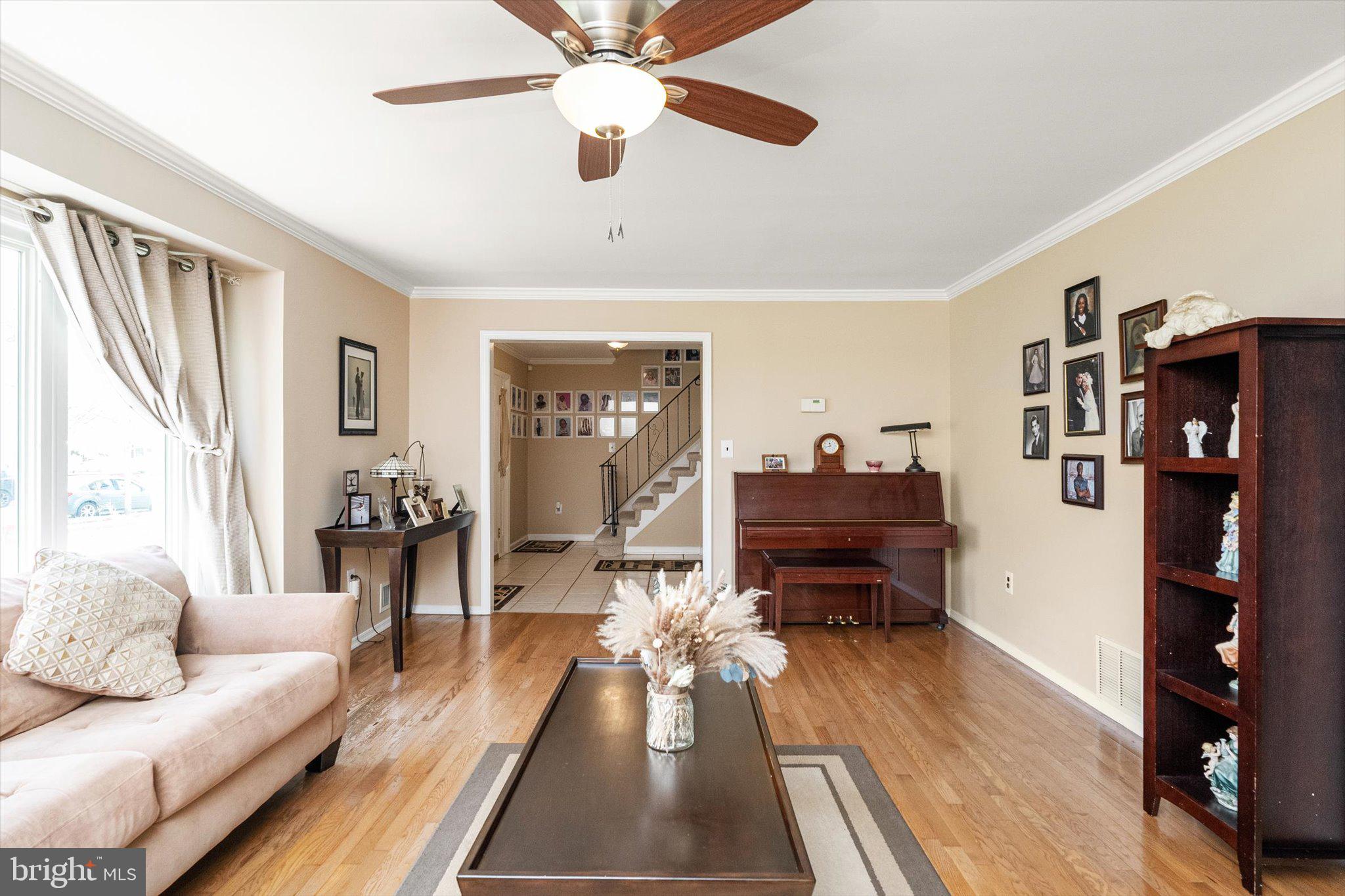 3 DAVID DRIVE