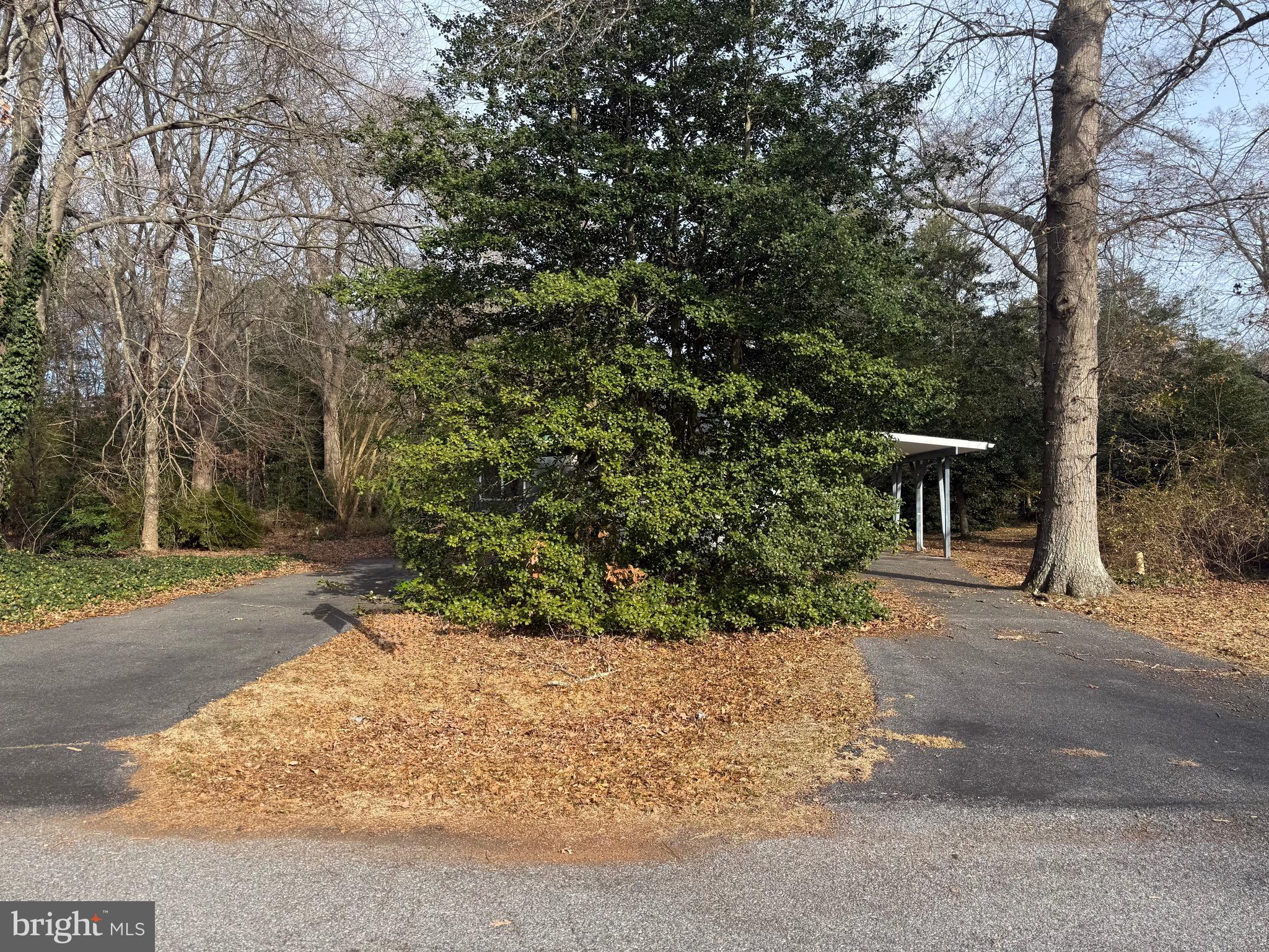 PATTERSON PLACE - Residential