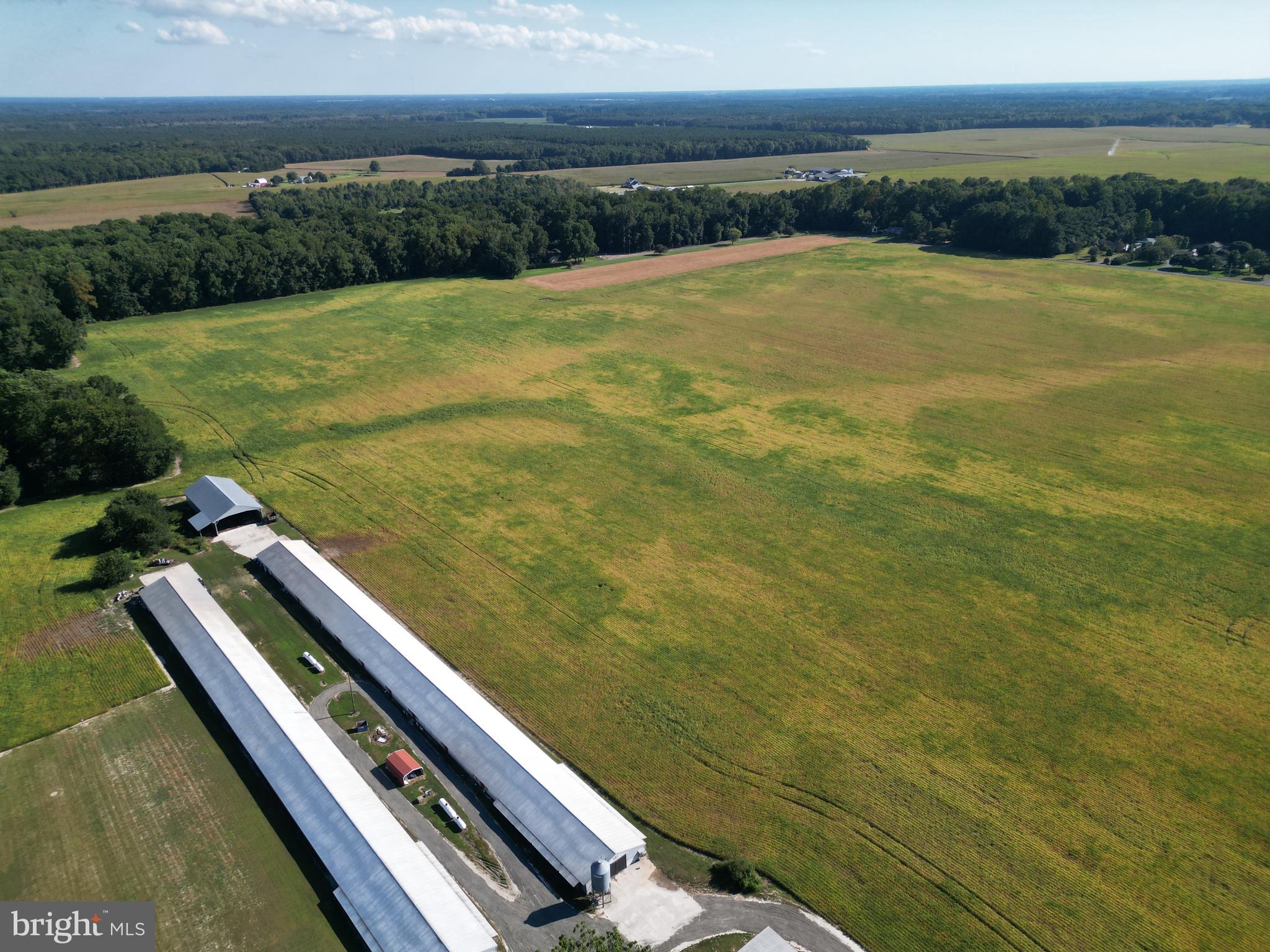 4070 WOODPECKER ROAD