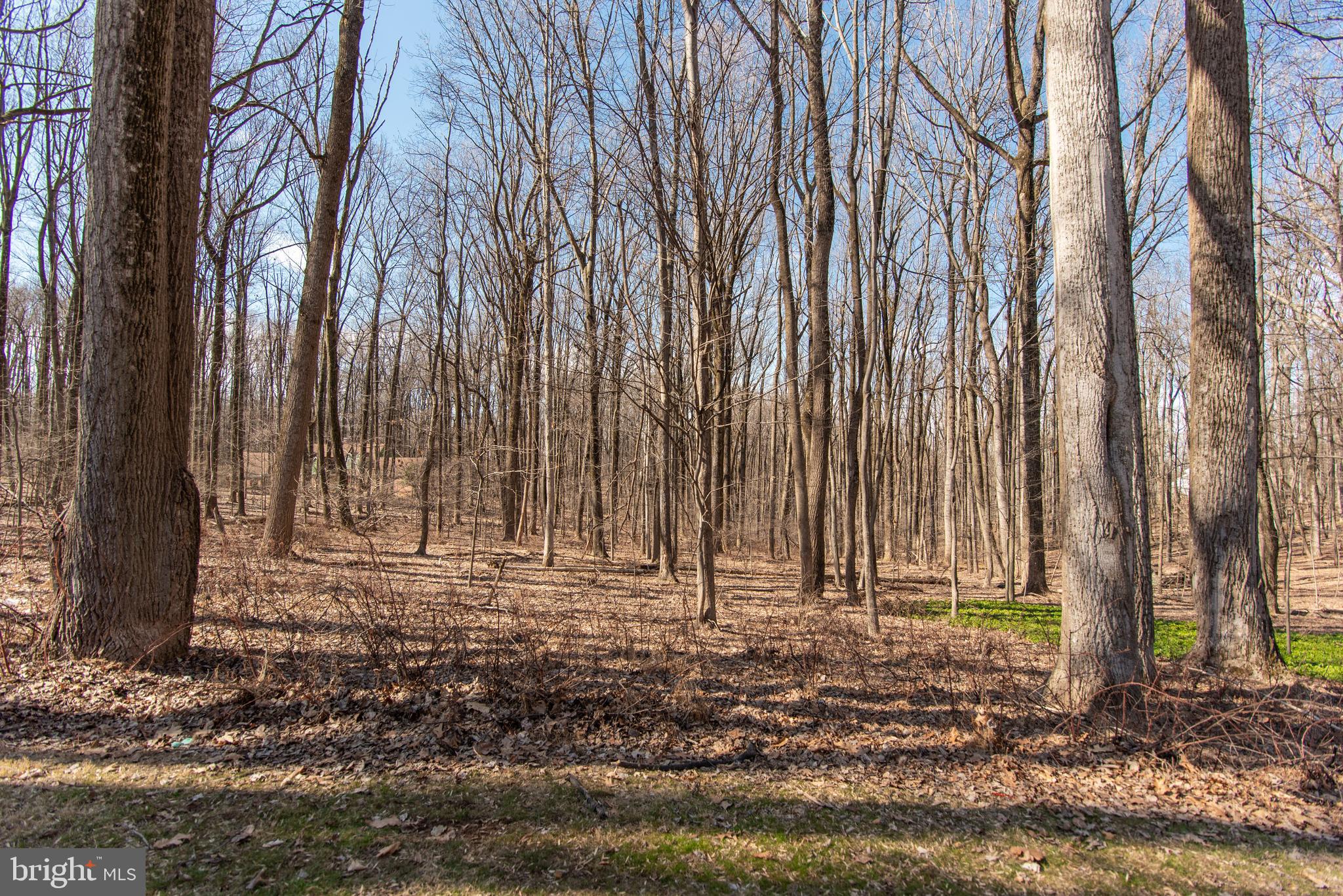 SAGAMORE FOREST II - Residential