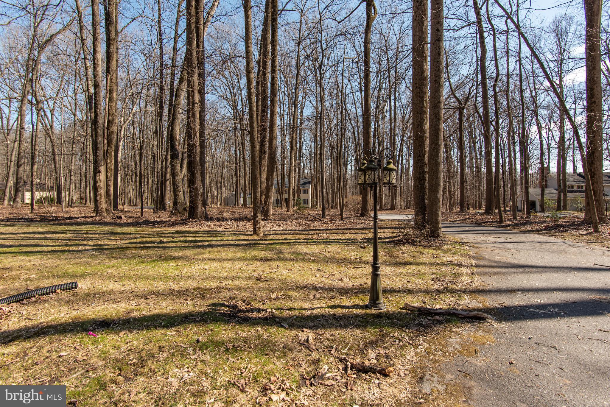 SAGAMORE FOREST II - Residential