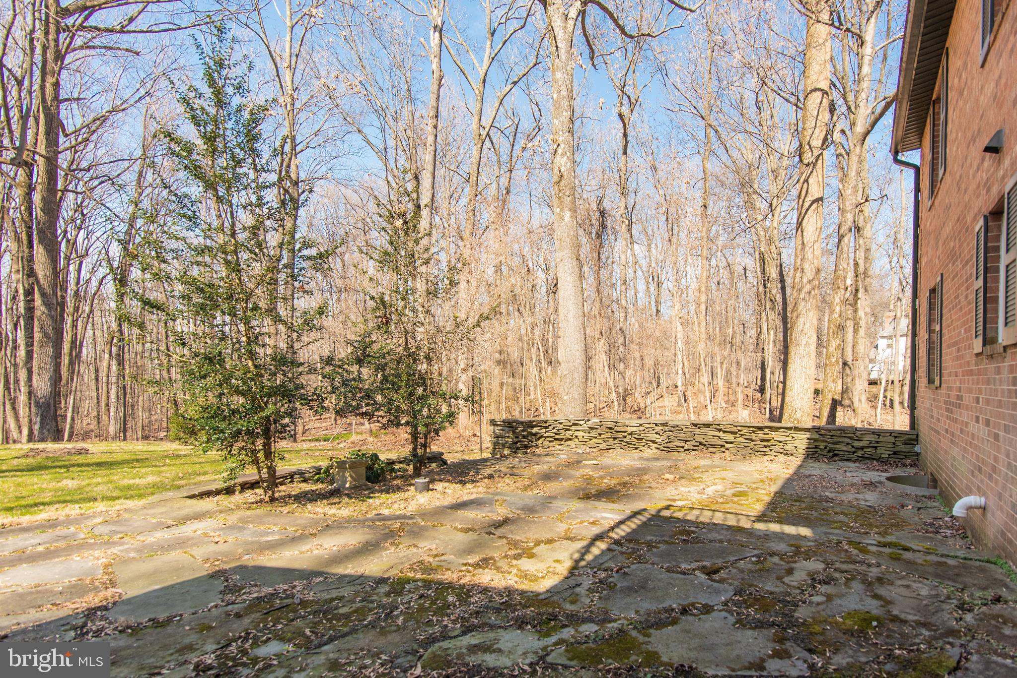 SAGAMORE FOREST II - Residential