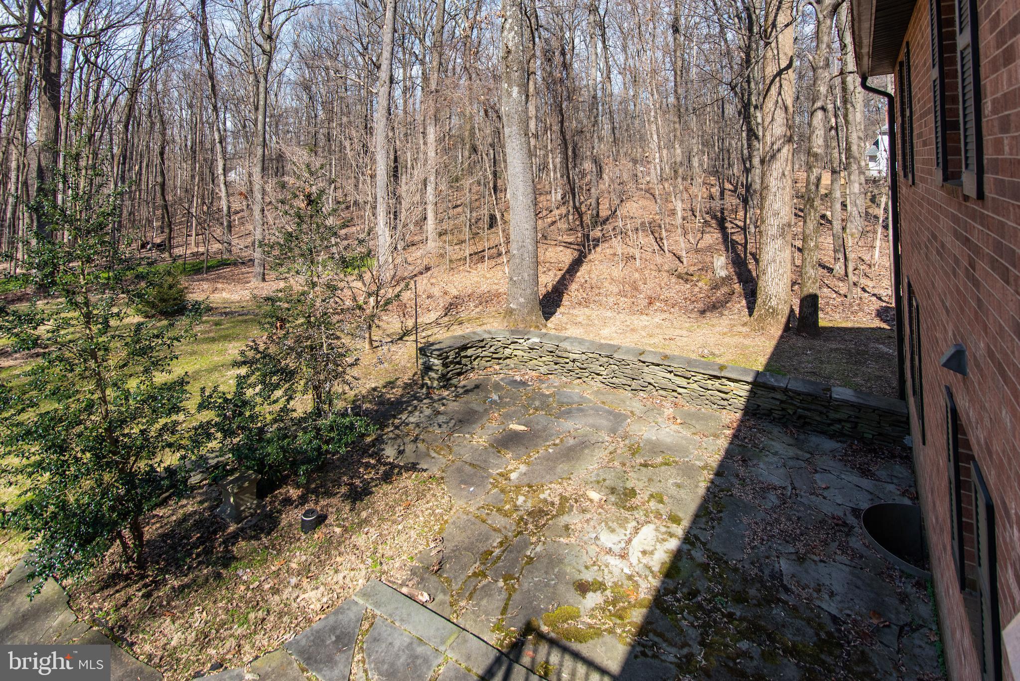 SAGAMORE FOREST II - Residential