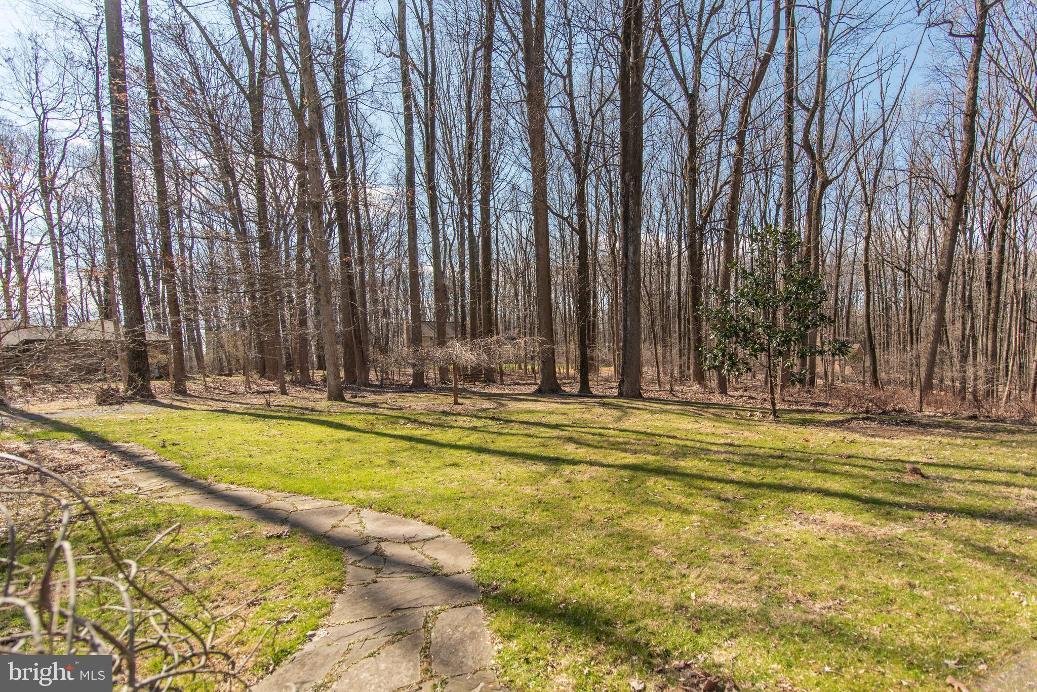 SAGAMORE FOREST II - Residential