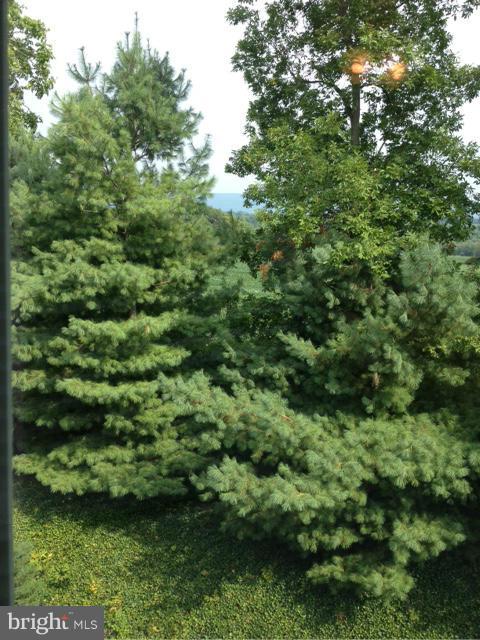 POTOMAC RIDGE - Residential