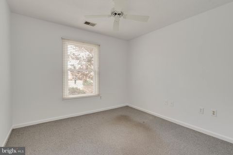 listing image 38