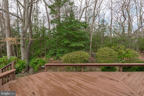 listing image 40