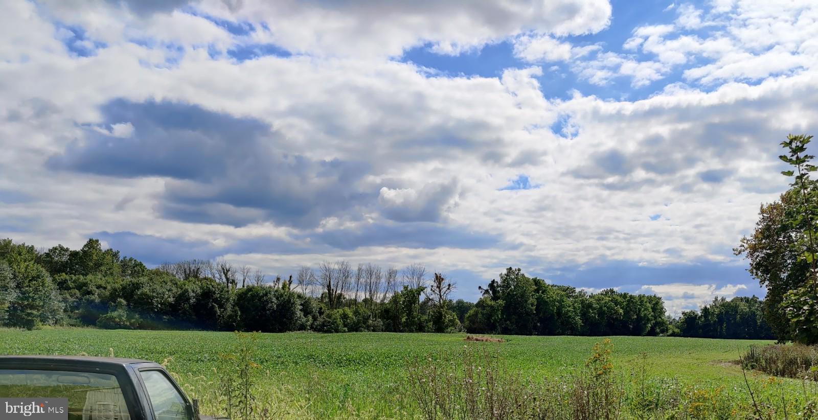 ANTRIM - Farm