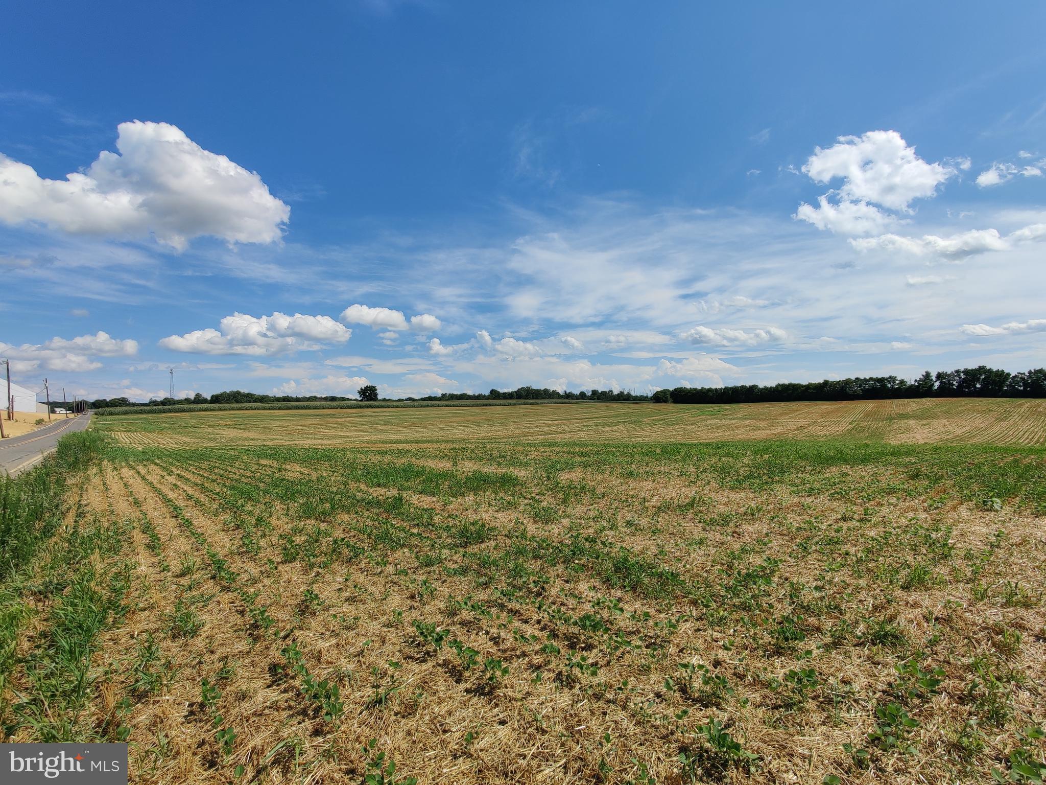 ANTRIM - Farm