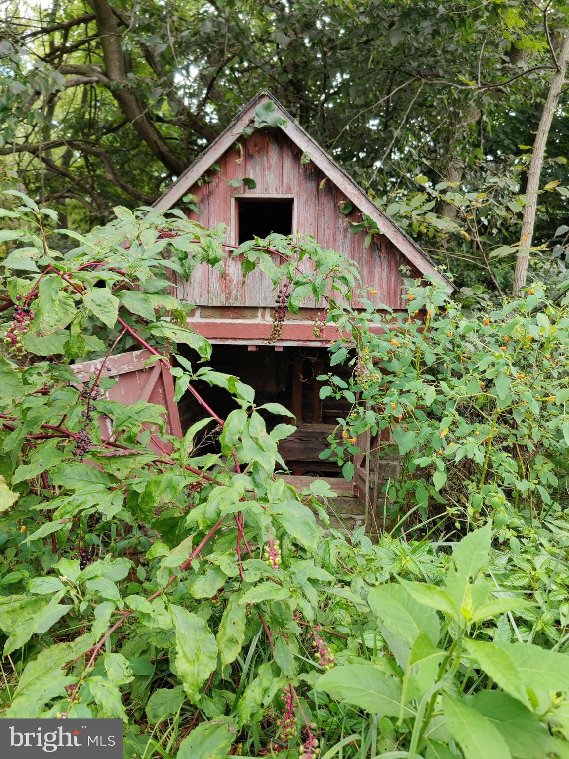 ANTRIM - Farm