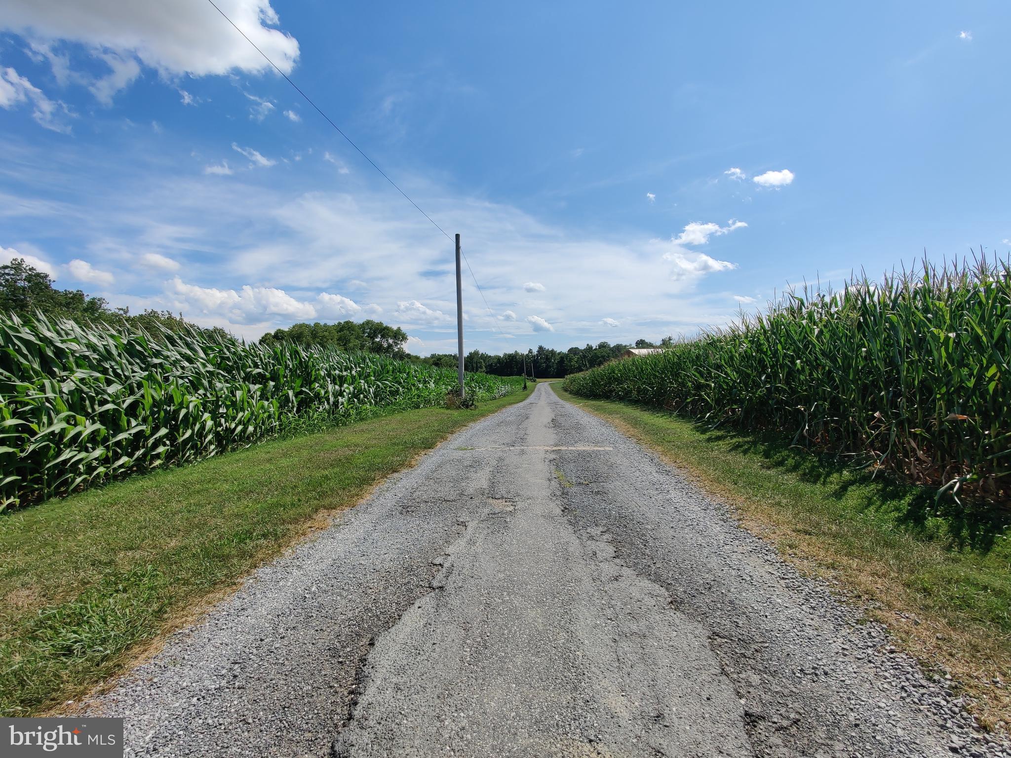 226 MILNOR ROAD