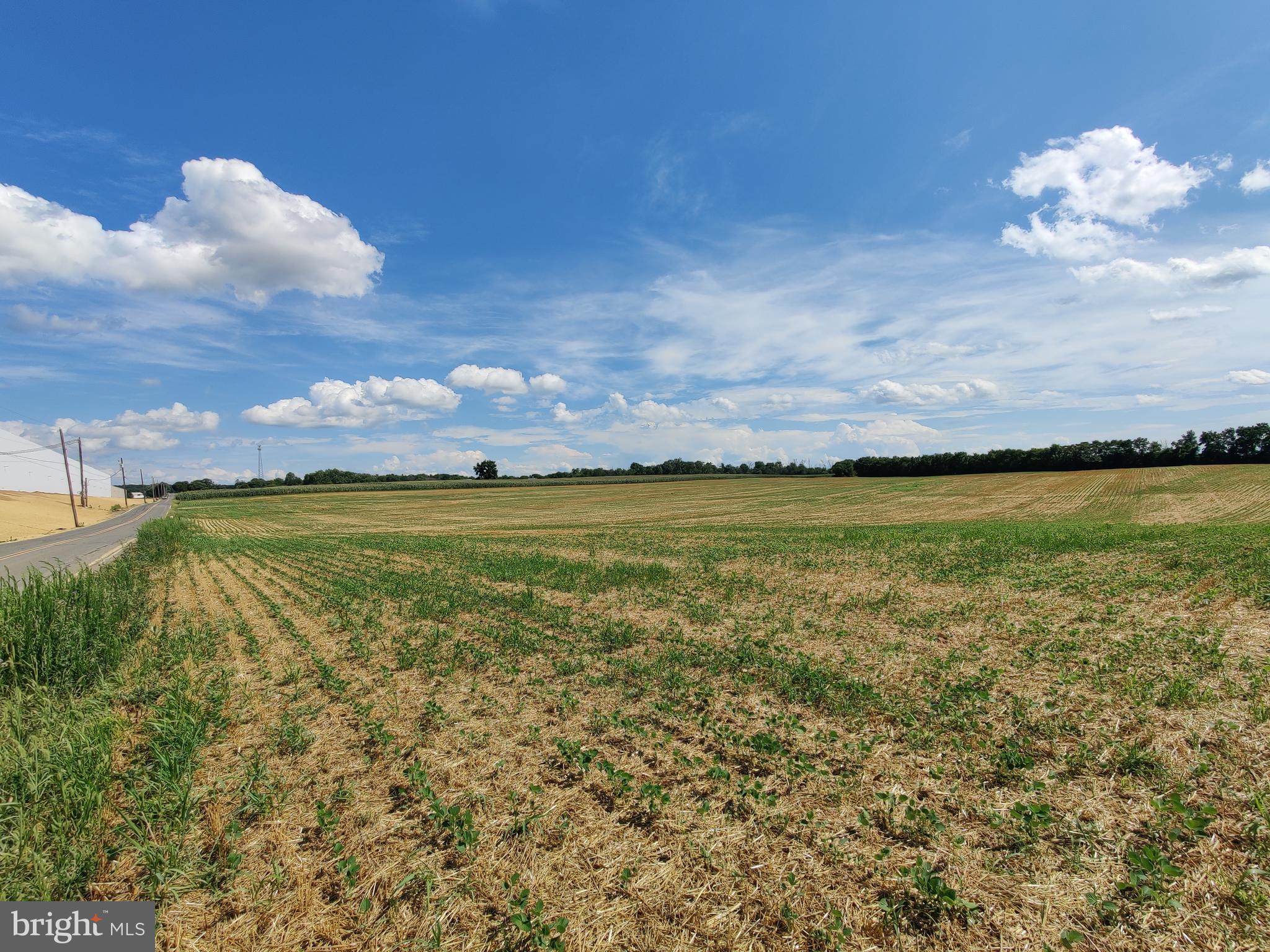 ANTRIM - Farm