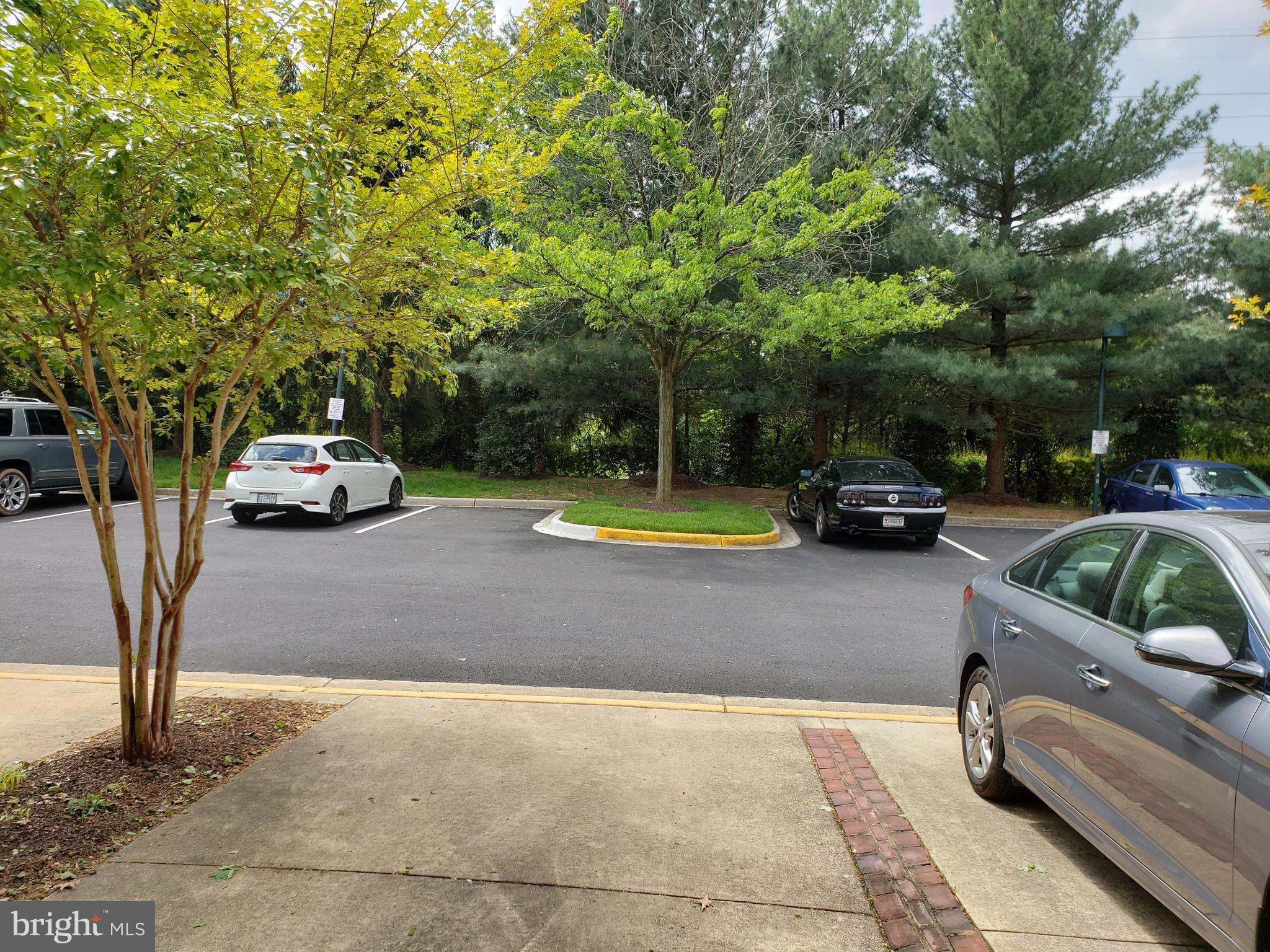 LINCOLN PARK - Residential Lease