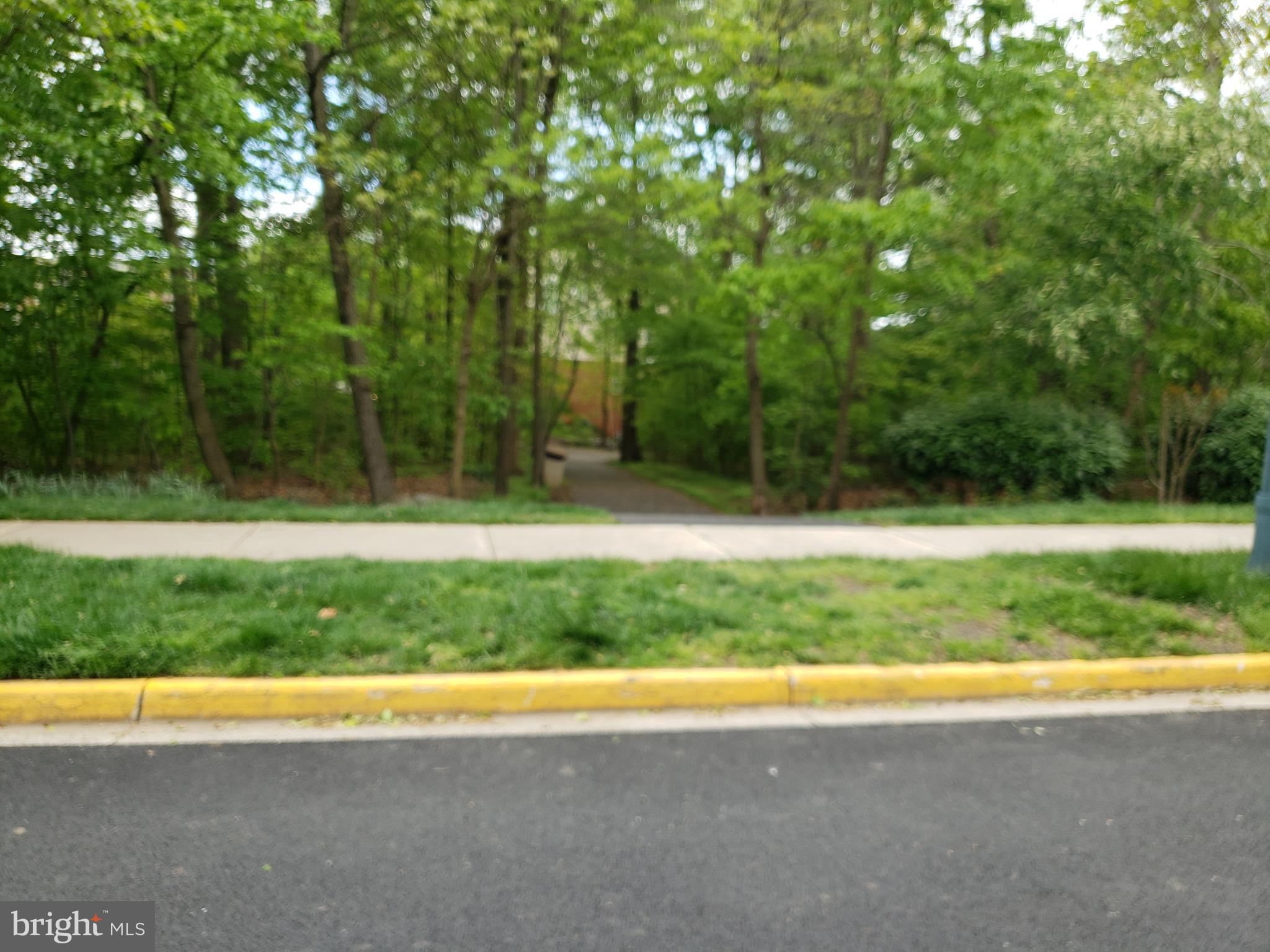 LINCOLN PARK - Residential Lease