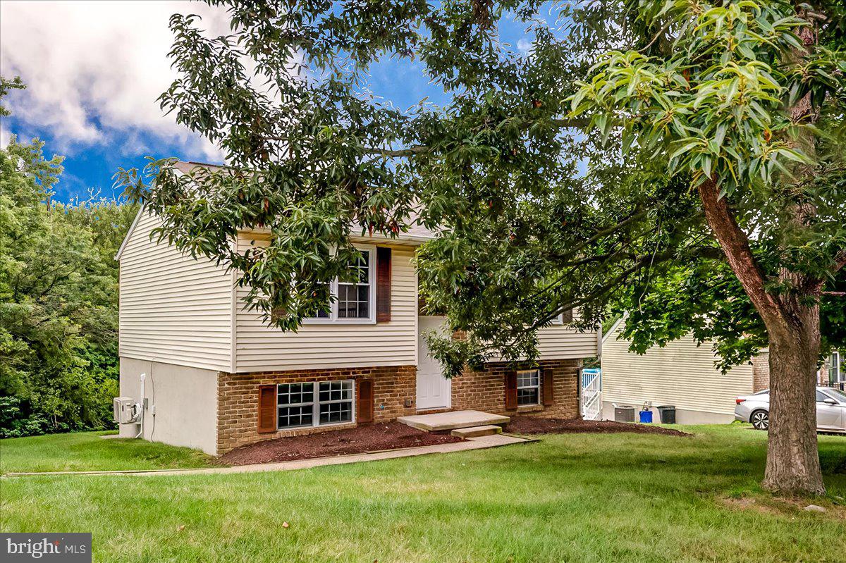 305 LUTHER DRIVE