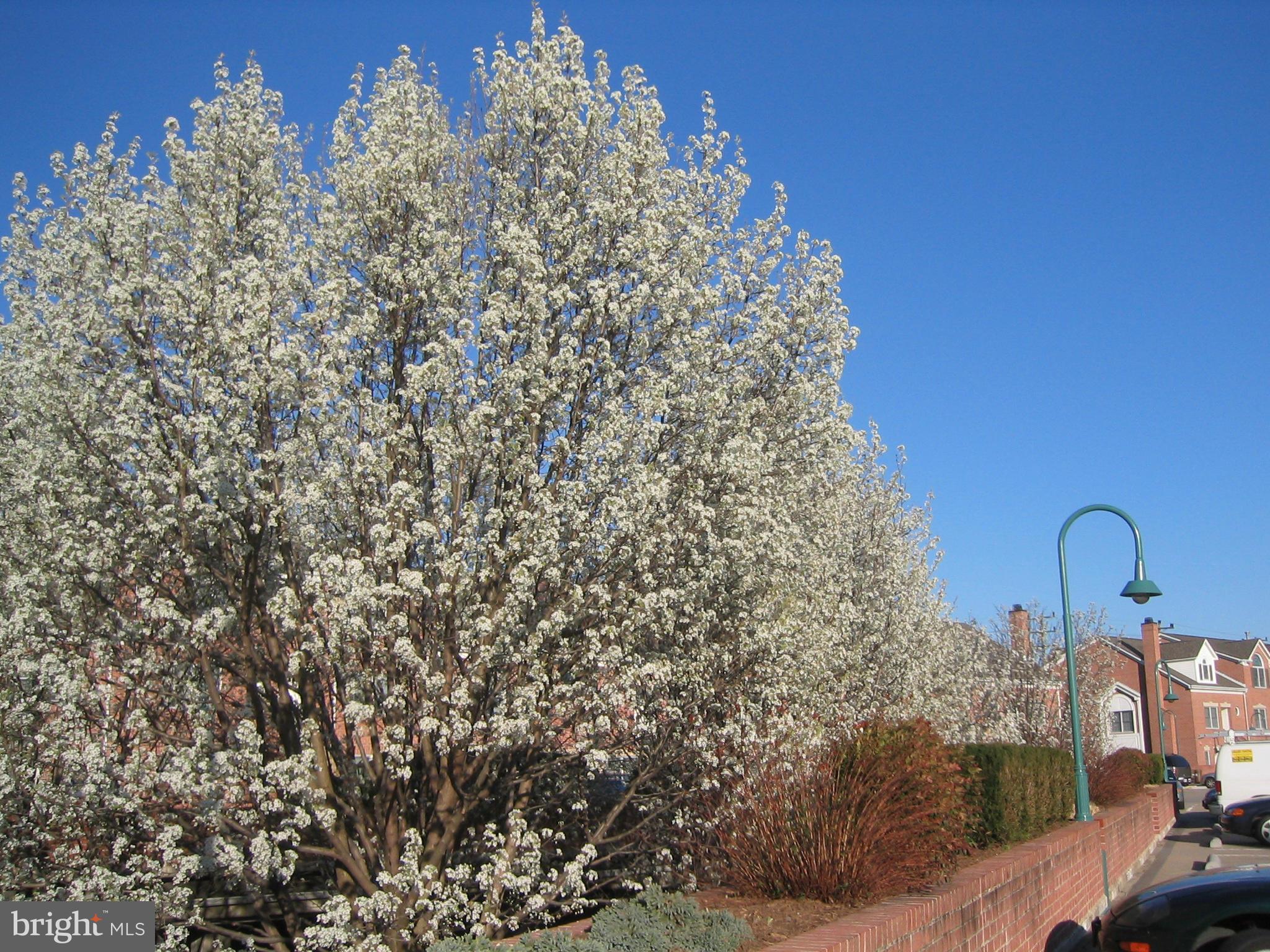 FALLS STATION - Residential Lease