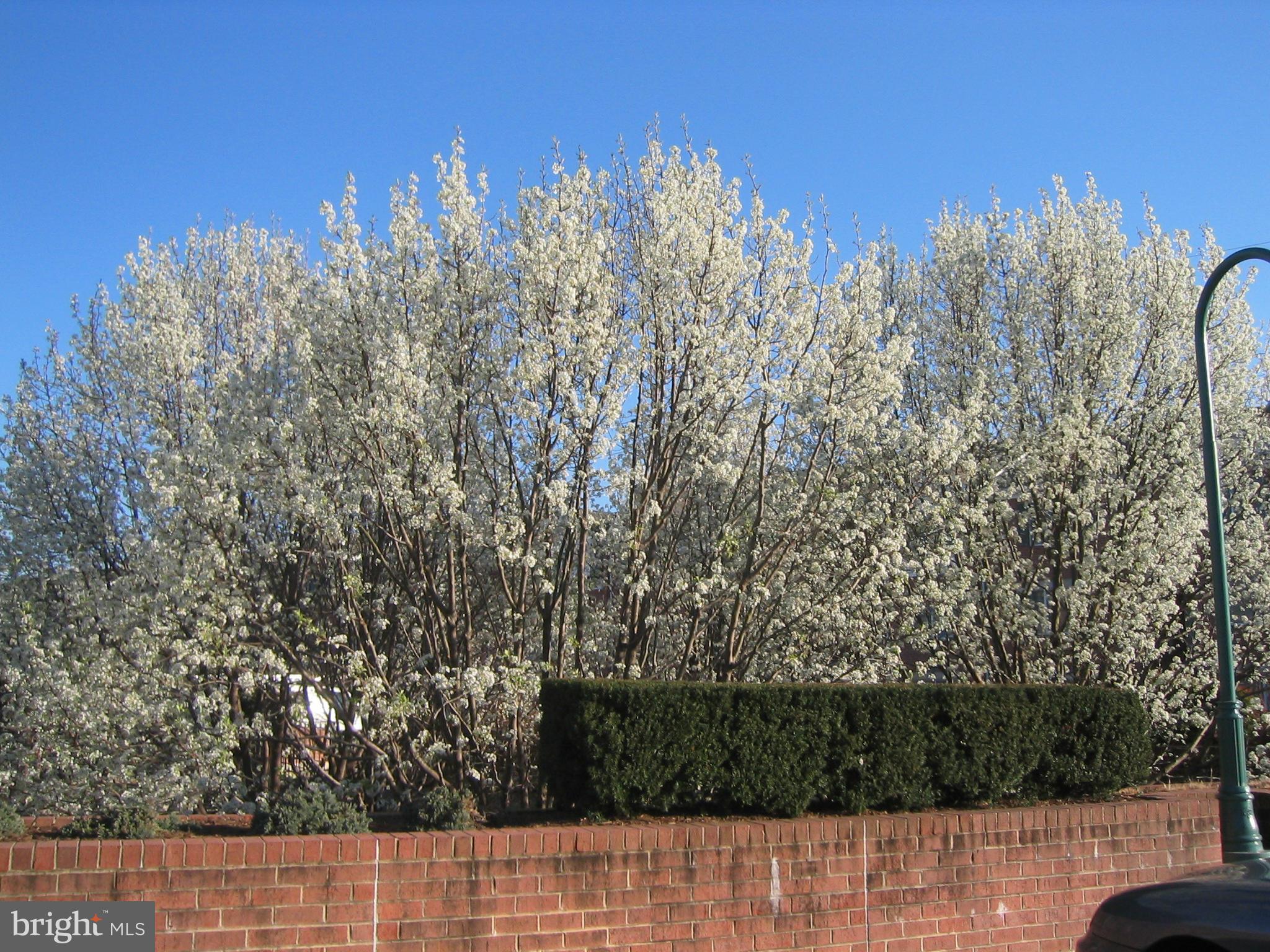 FALLS STATION - Residential Lease