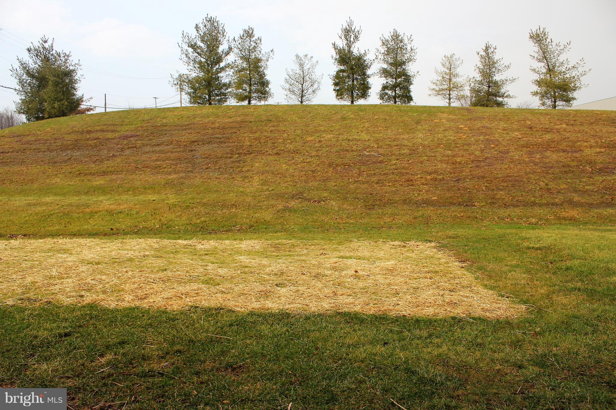 BRADFORD ESTATES - Residential