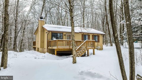 391 BERRY LANE POCONO LAKE PA 18347