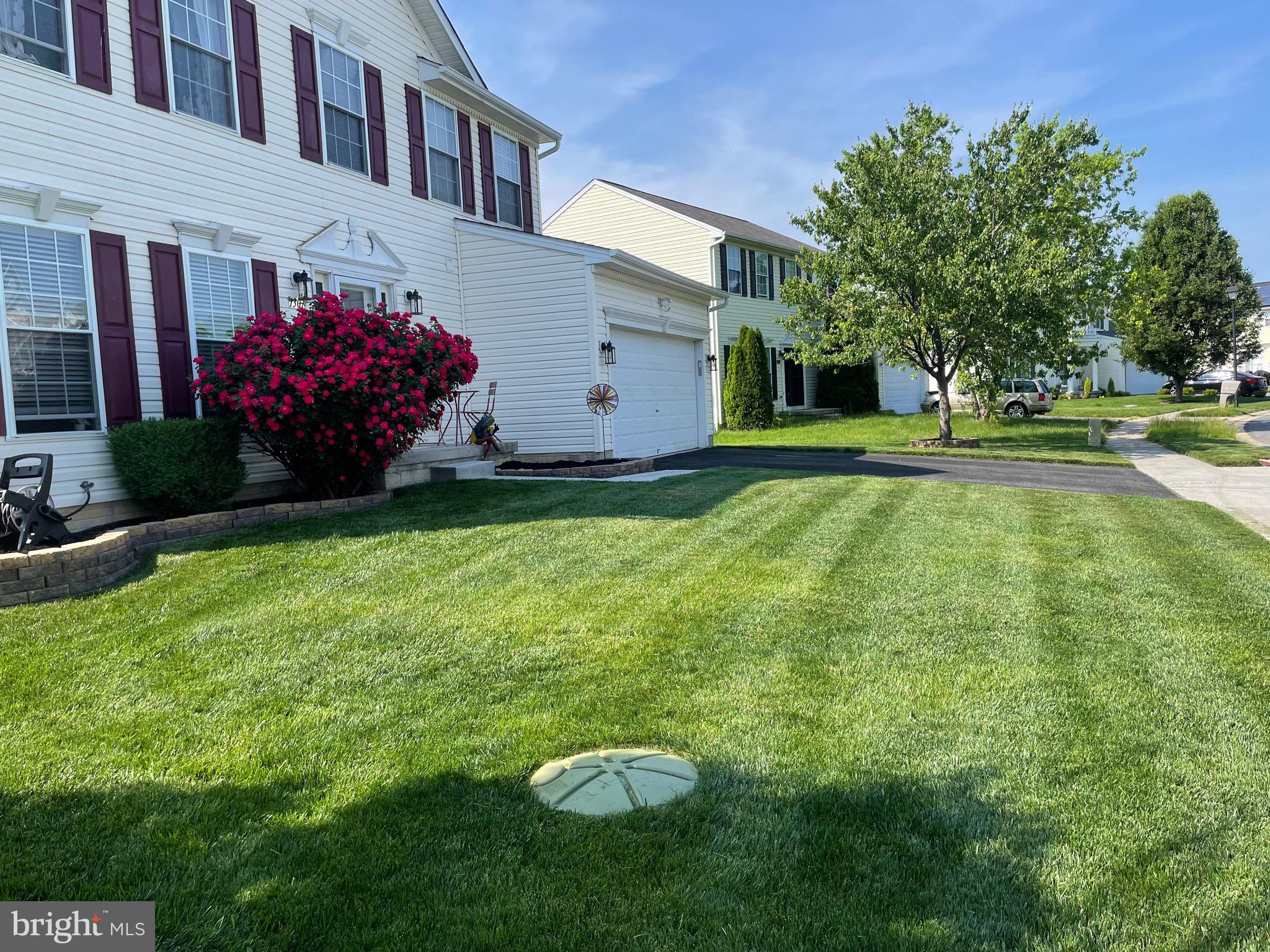 WALNUT POINT - Residential