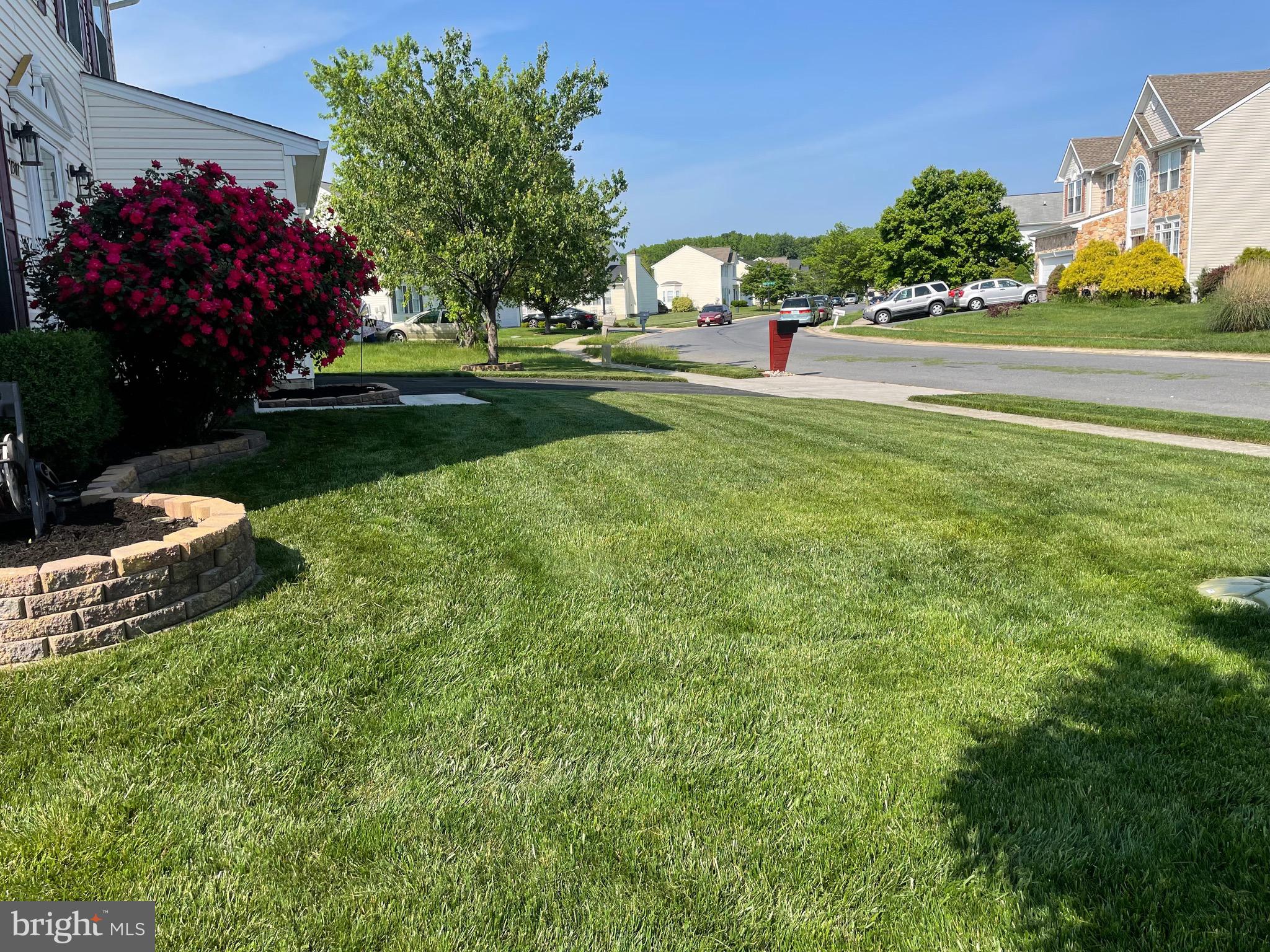 WALNUT POINT - Residential