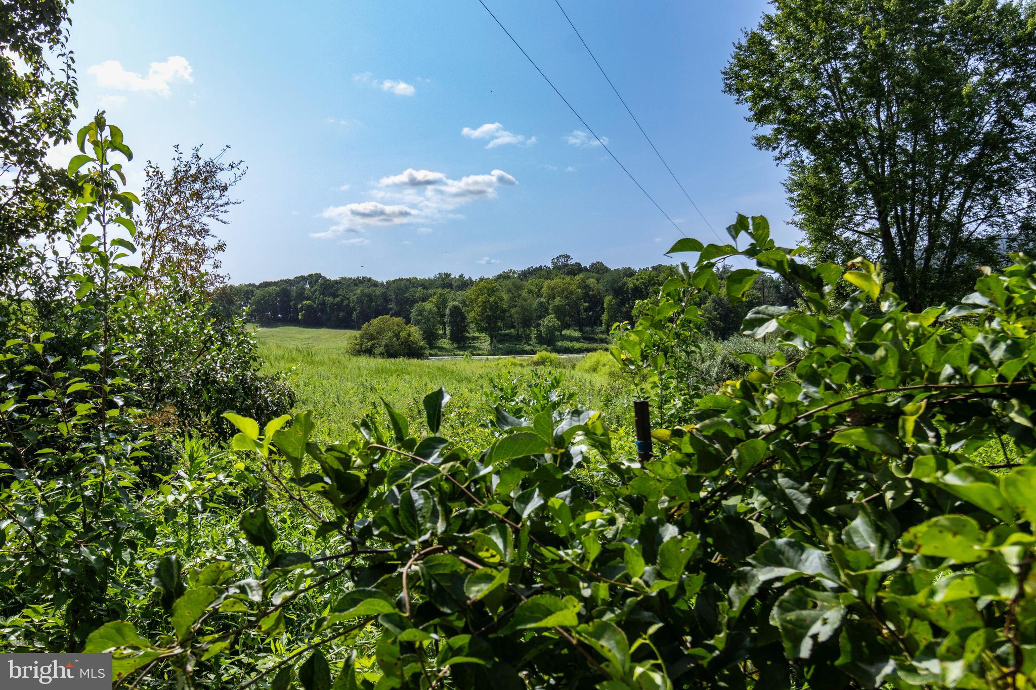 CLARENDON FARM DRIVE