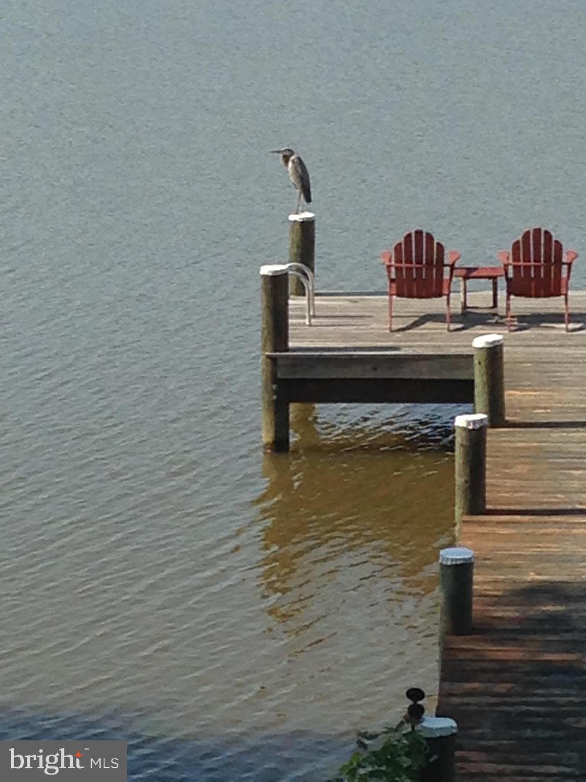 BIRD RIVER GROVE - Residential