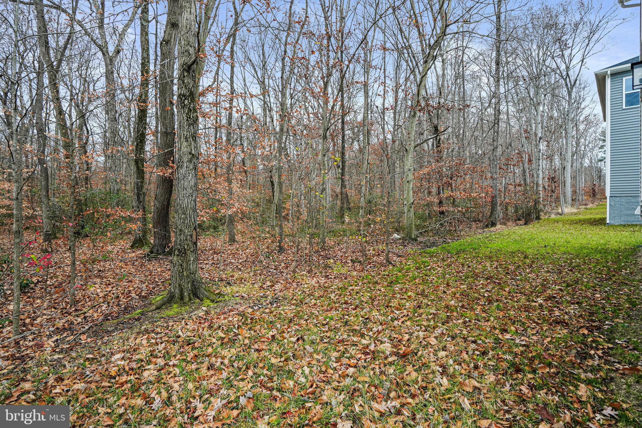 NORTHWOODS - Residential