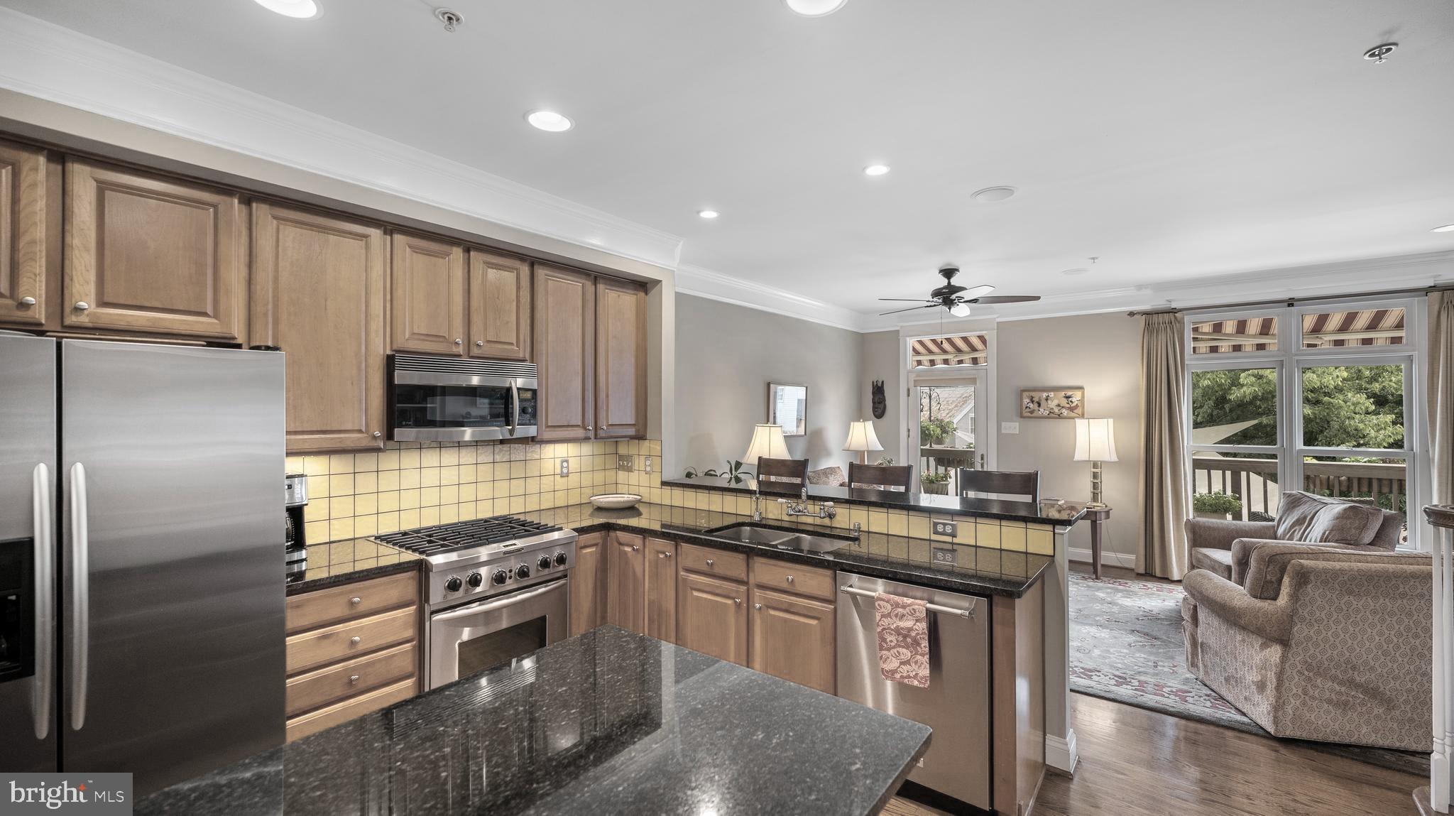 HISTORIC FREDERICK CITY - Residential