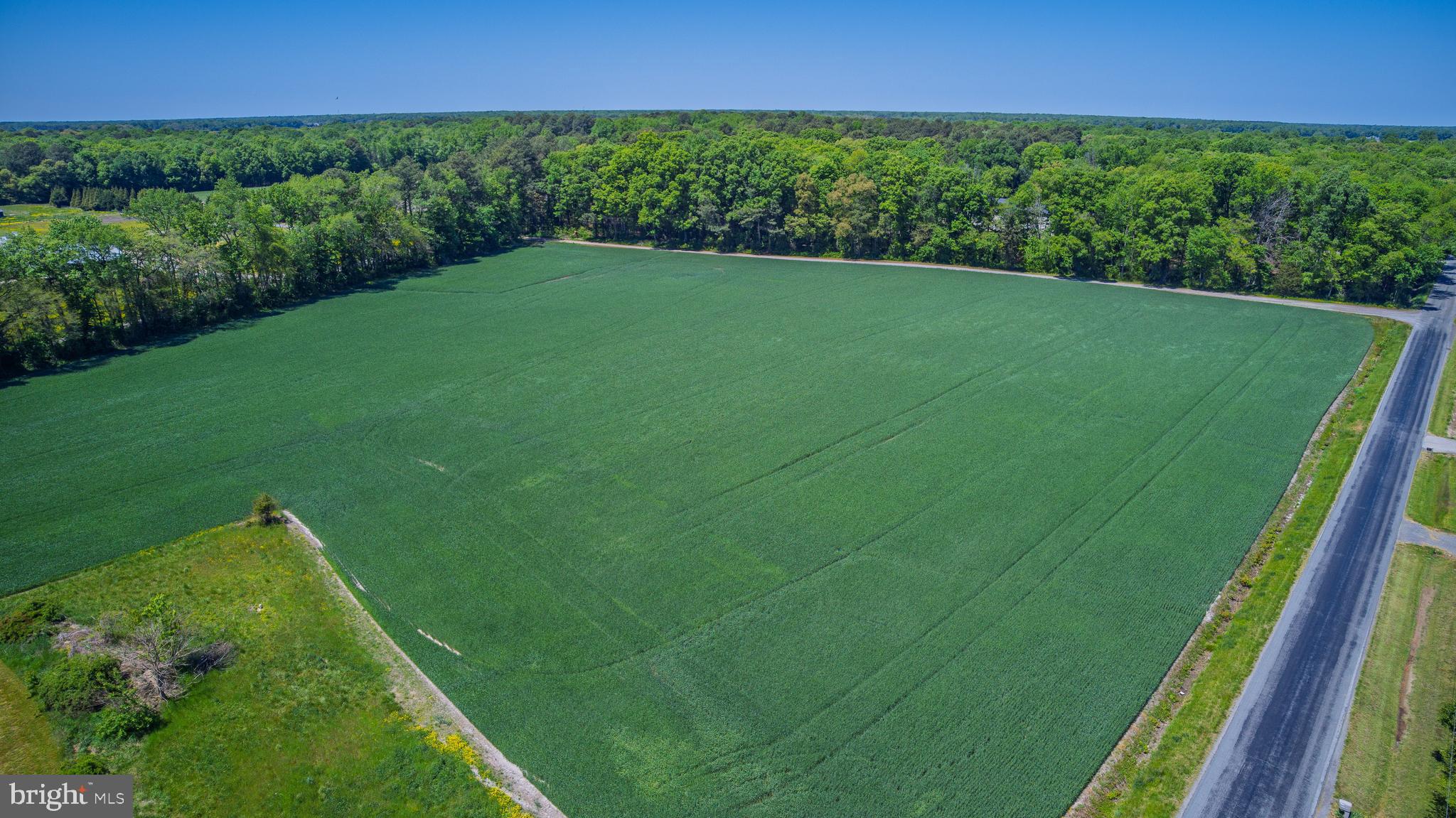 LOT #15 TOWER ROAD