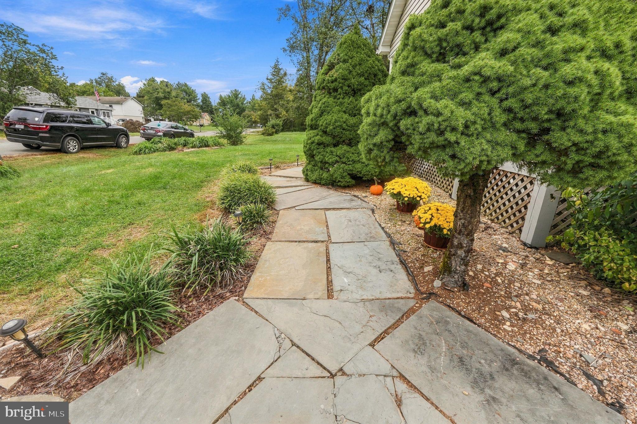 11115 CEDAR LANE