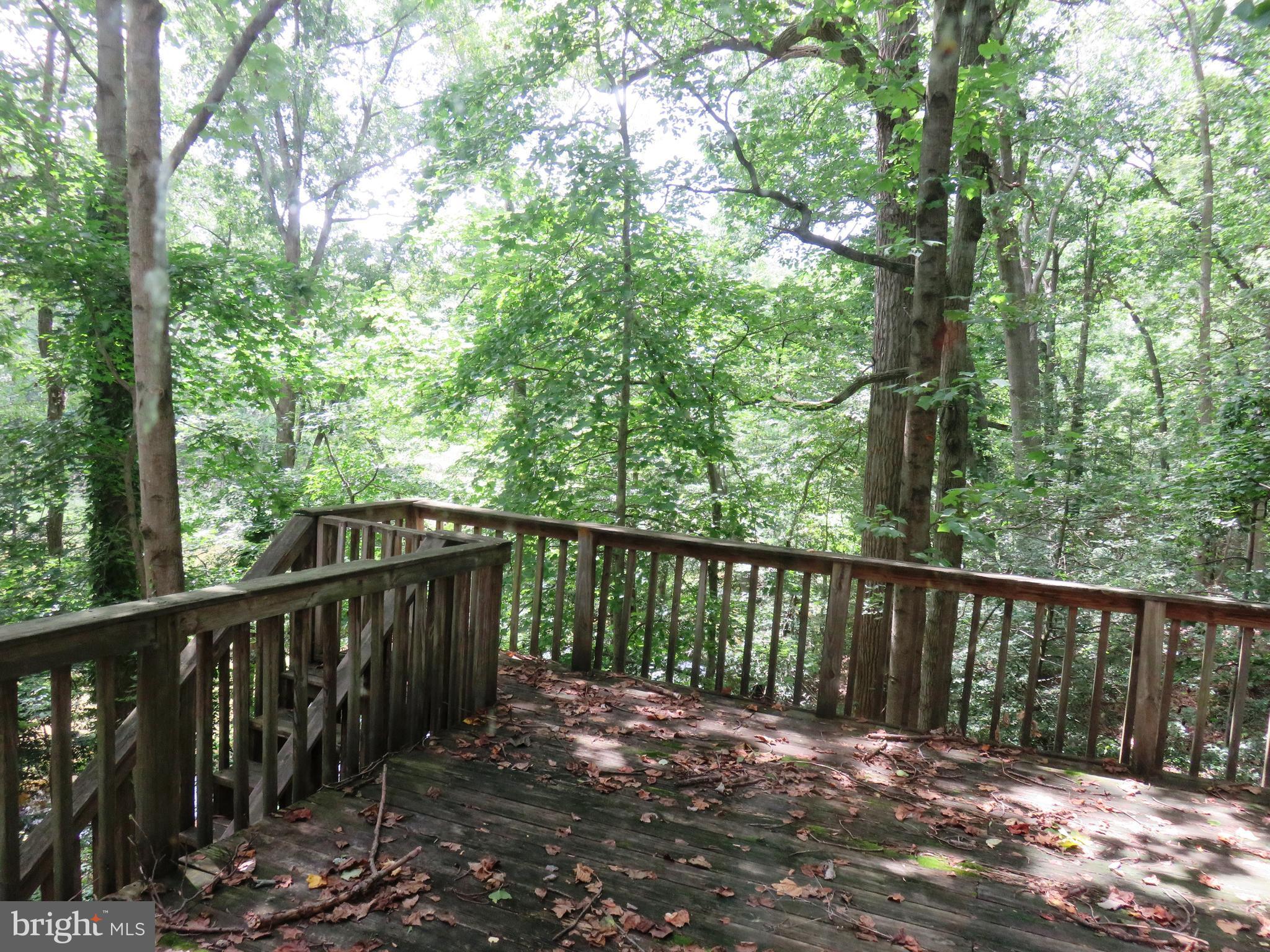 DIVINITY COVE - Residential