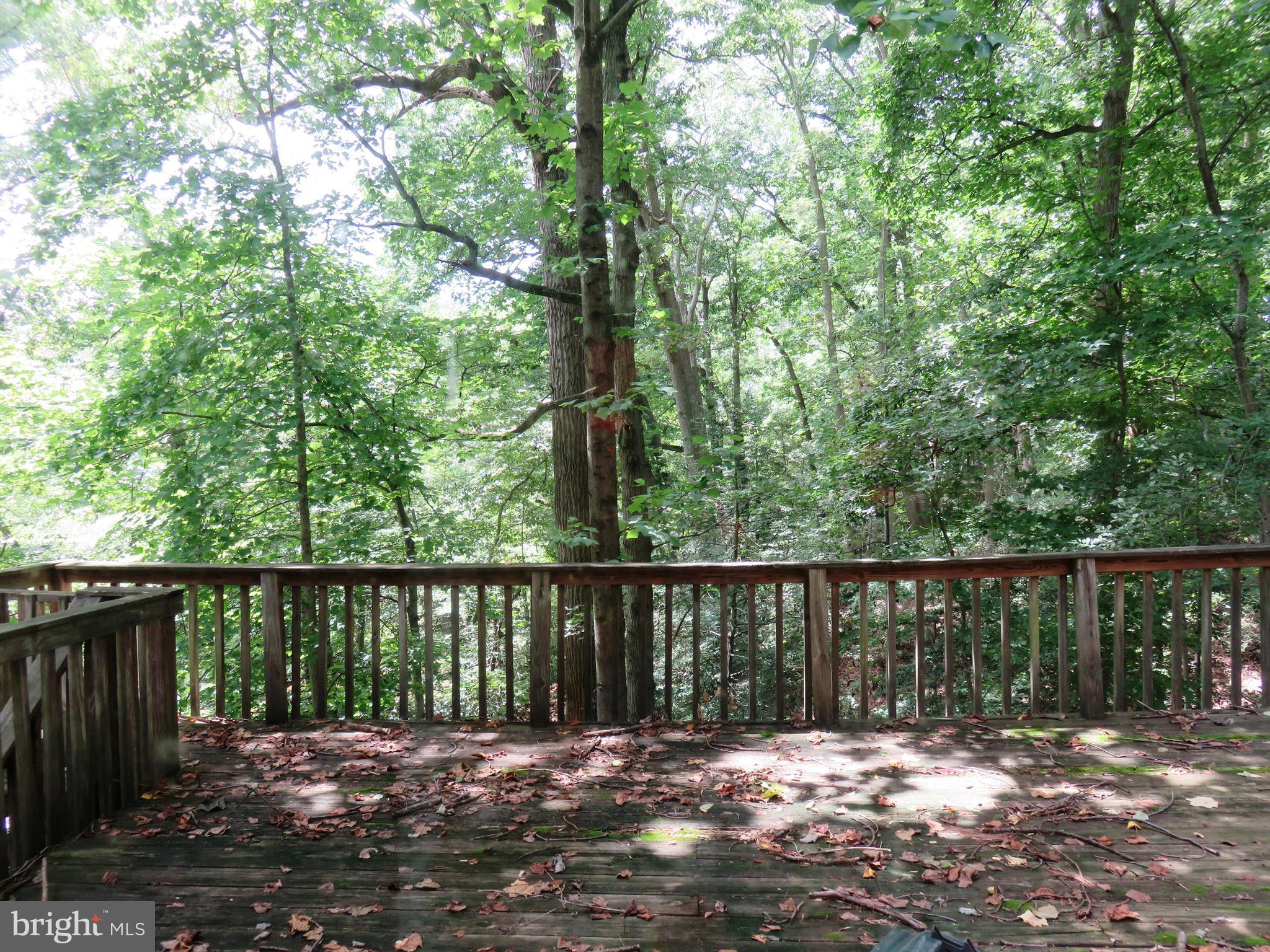 DIVINITY COVE - Residential