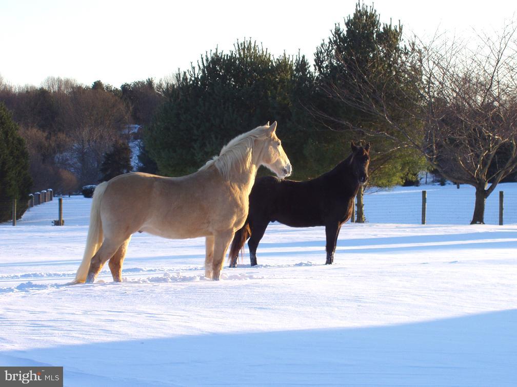 LOMBARD ACRES - Farm