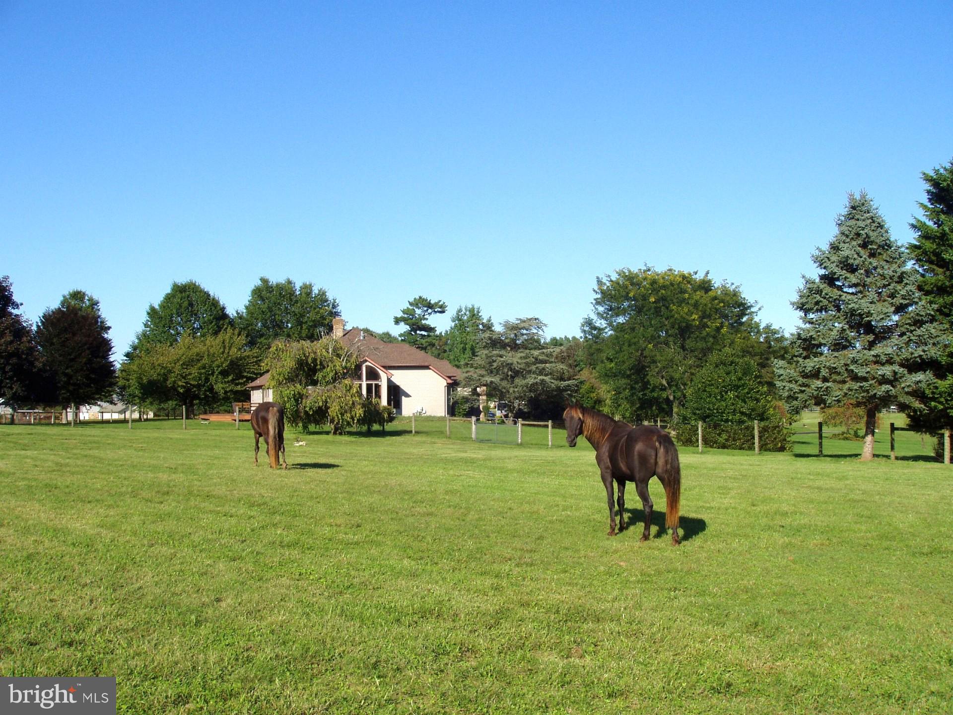 LOMBARD ACRES - Farm