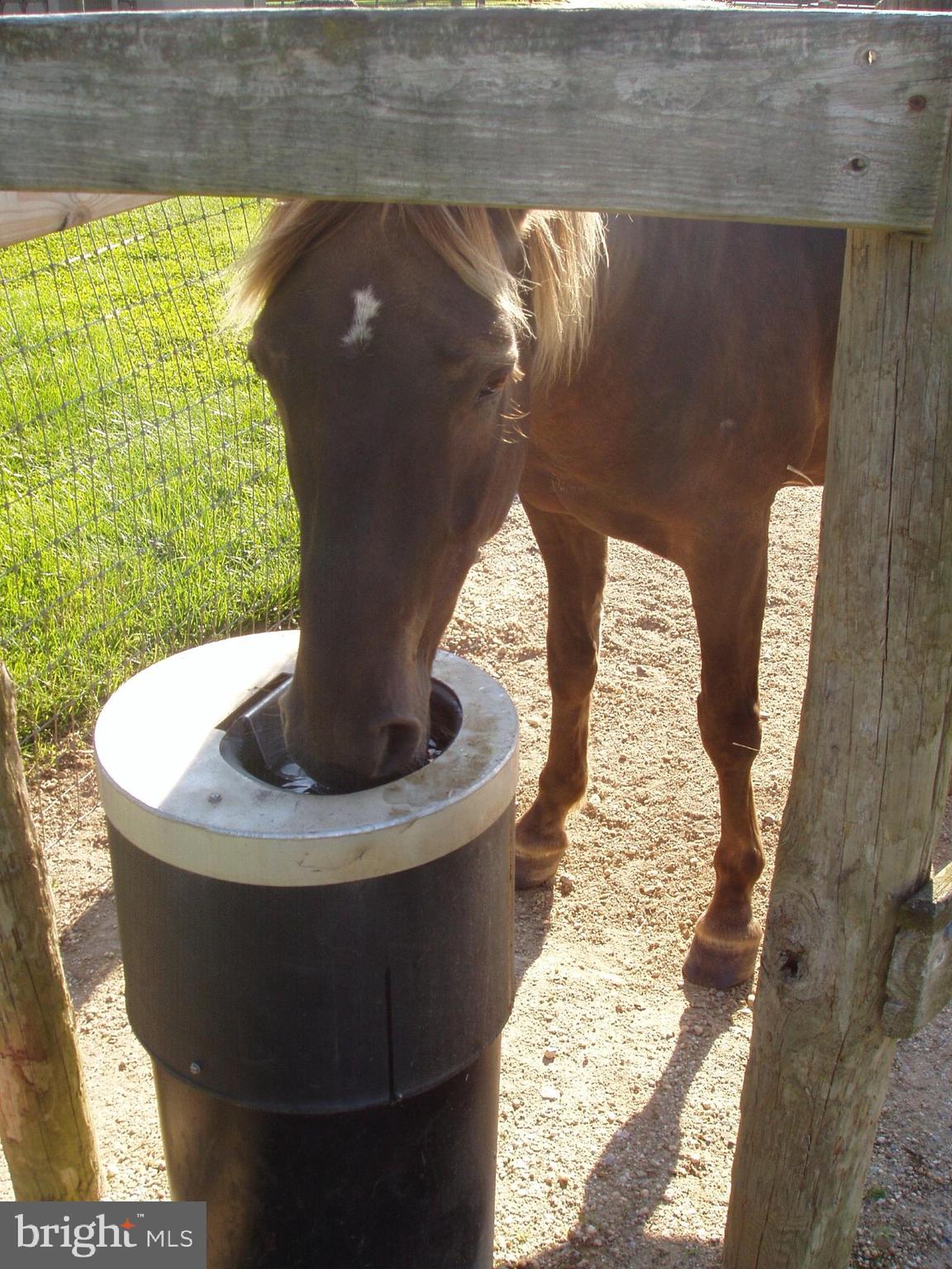 LOMBARD ACRES - Farm
