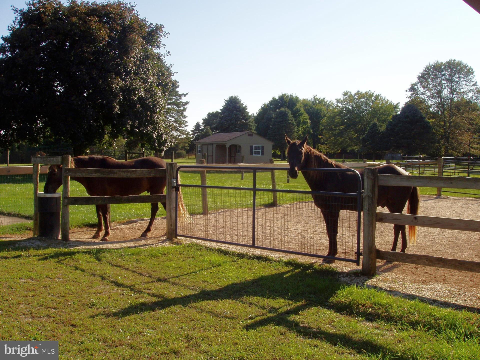 LOMBARD ACRES - Farm