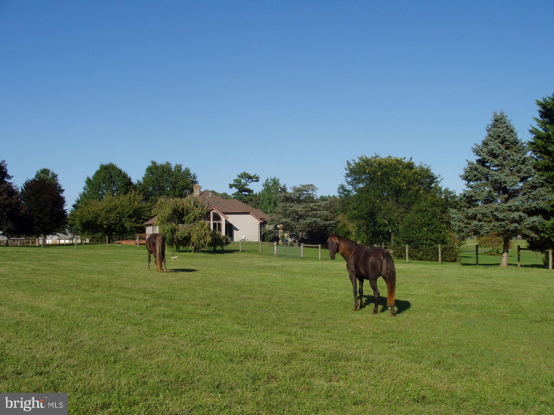 LOMBARD ACRES - Farm